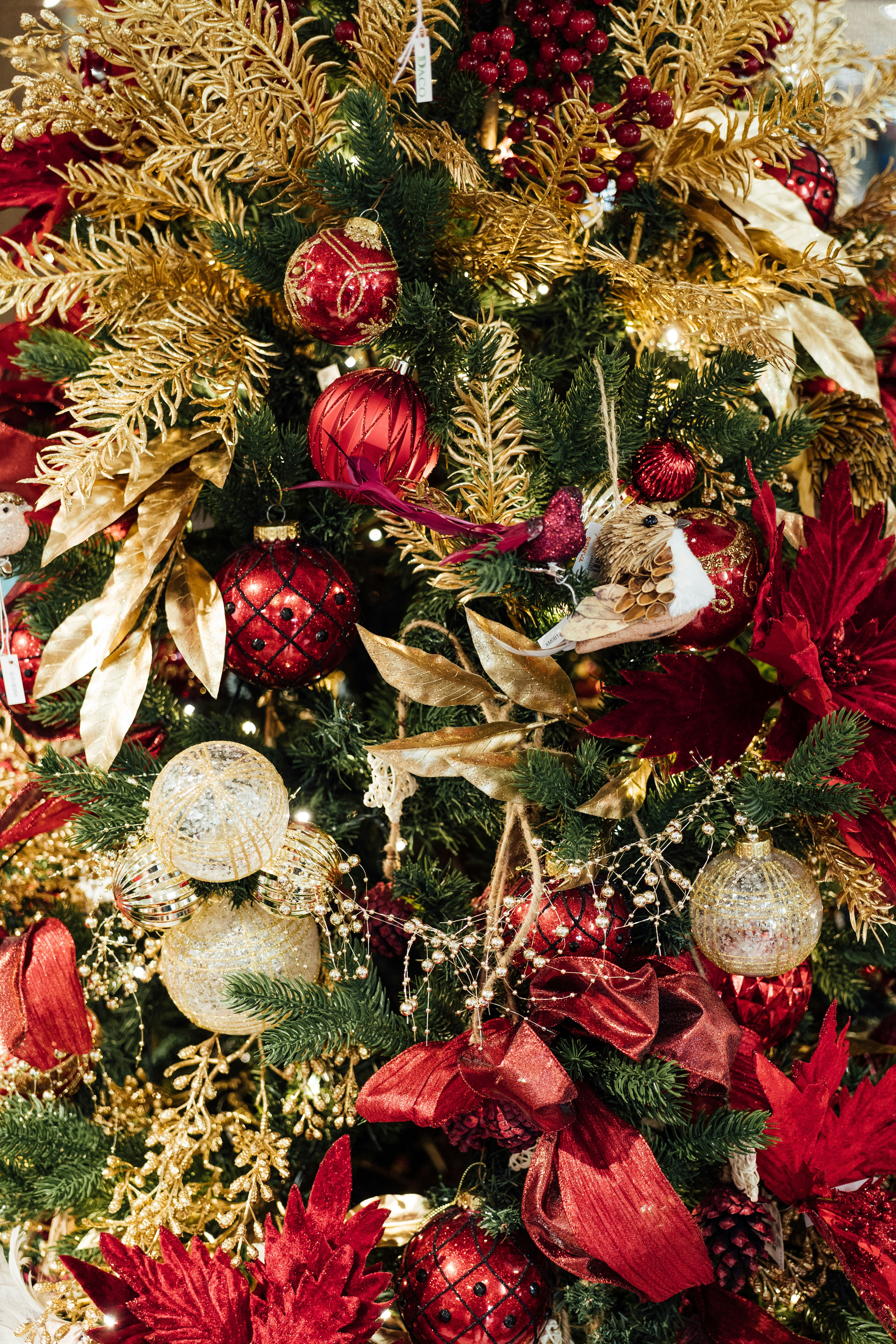 Photo by chuttersnap