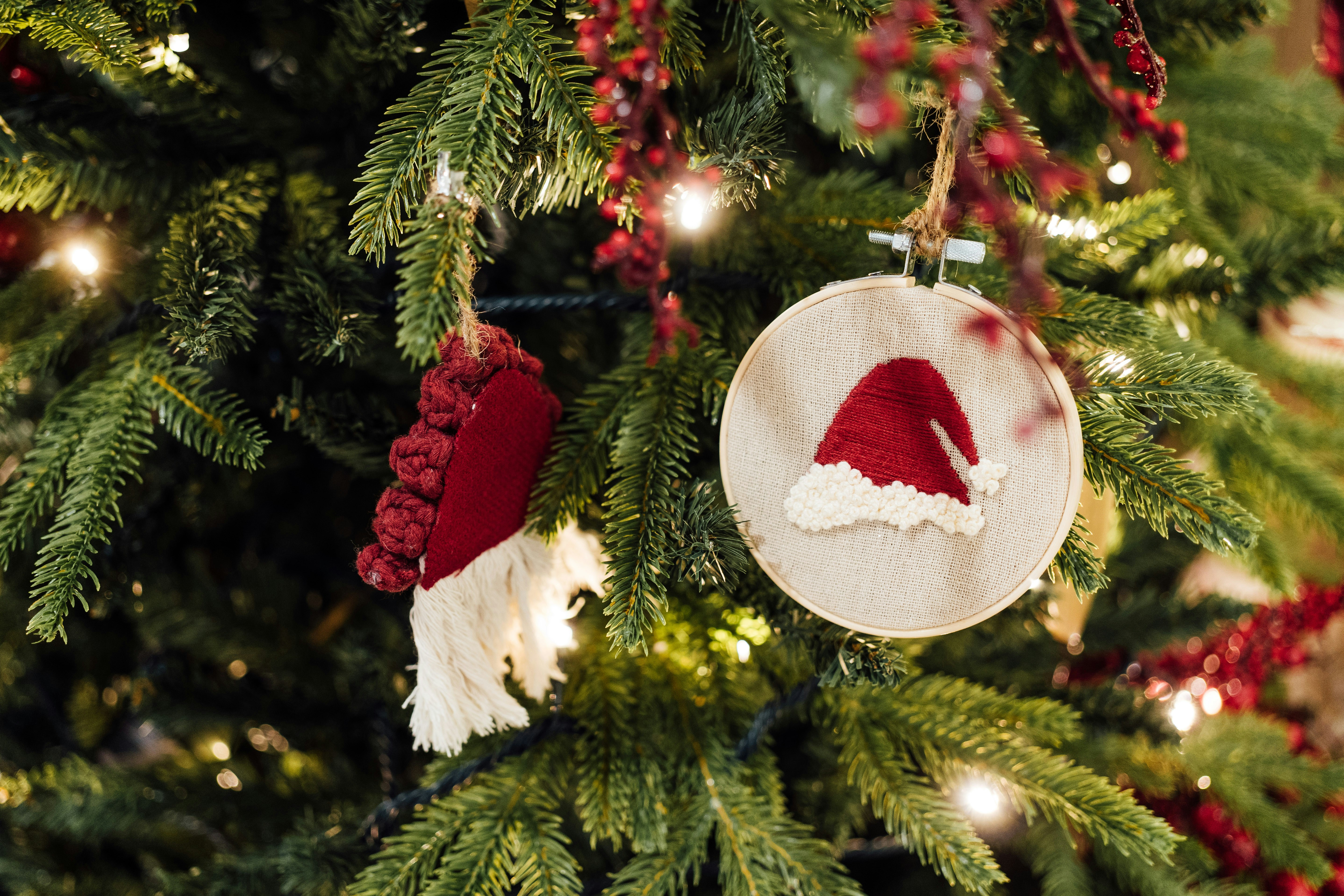 Photo by chuttersnap