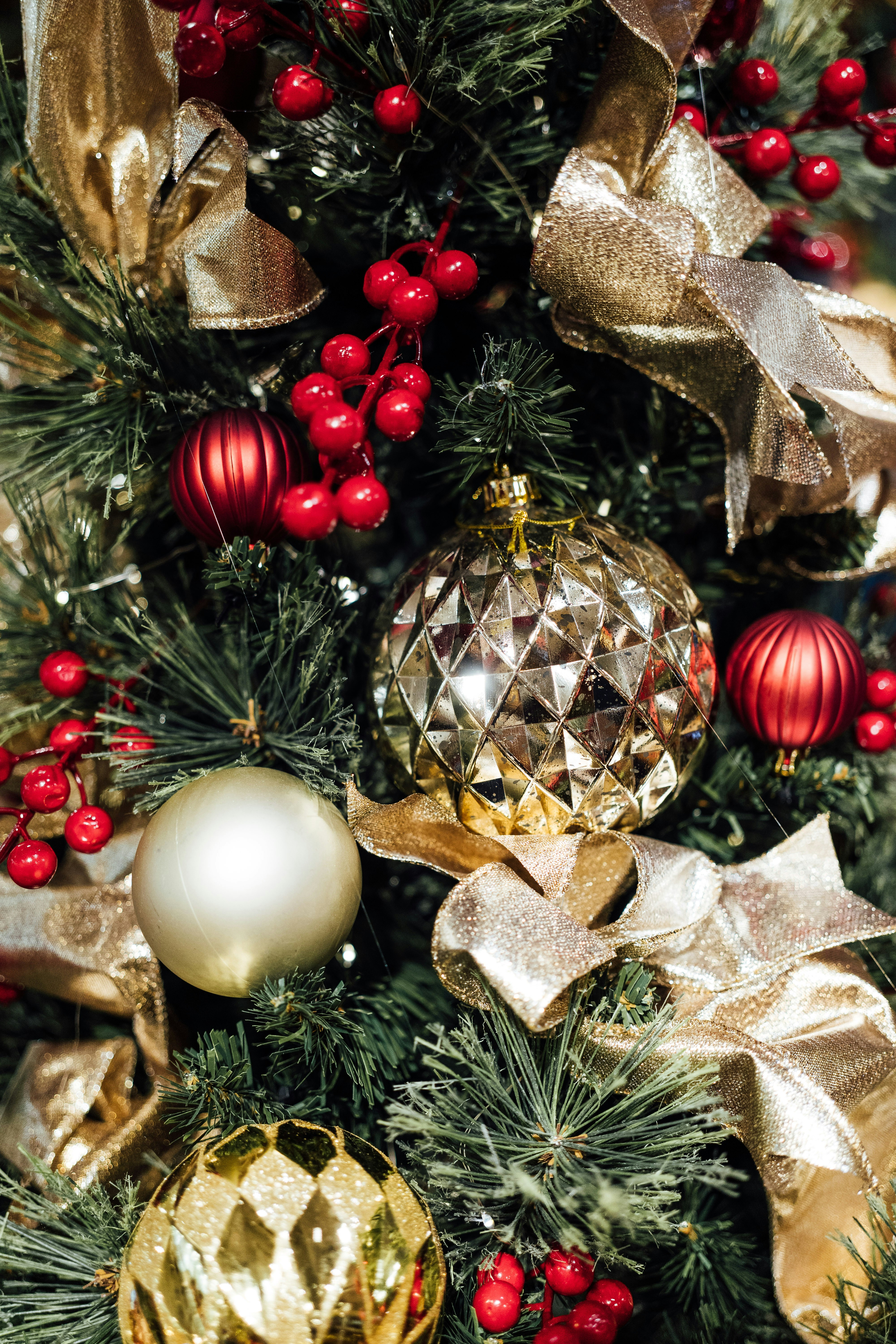 Photo by chuttersnap