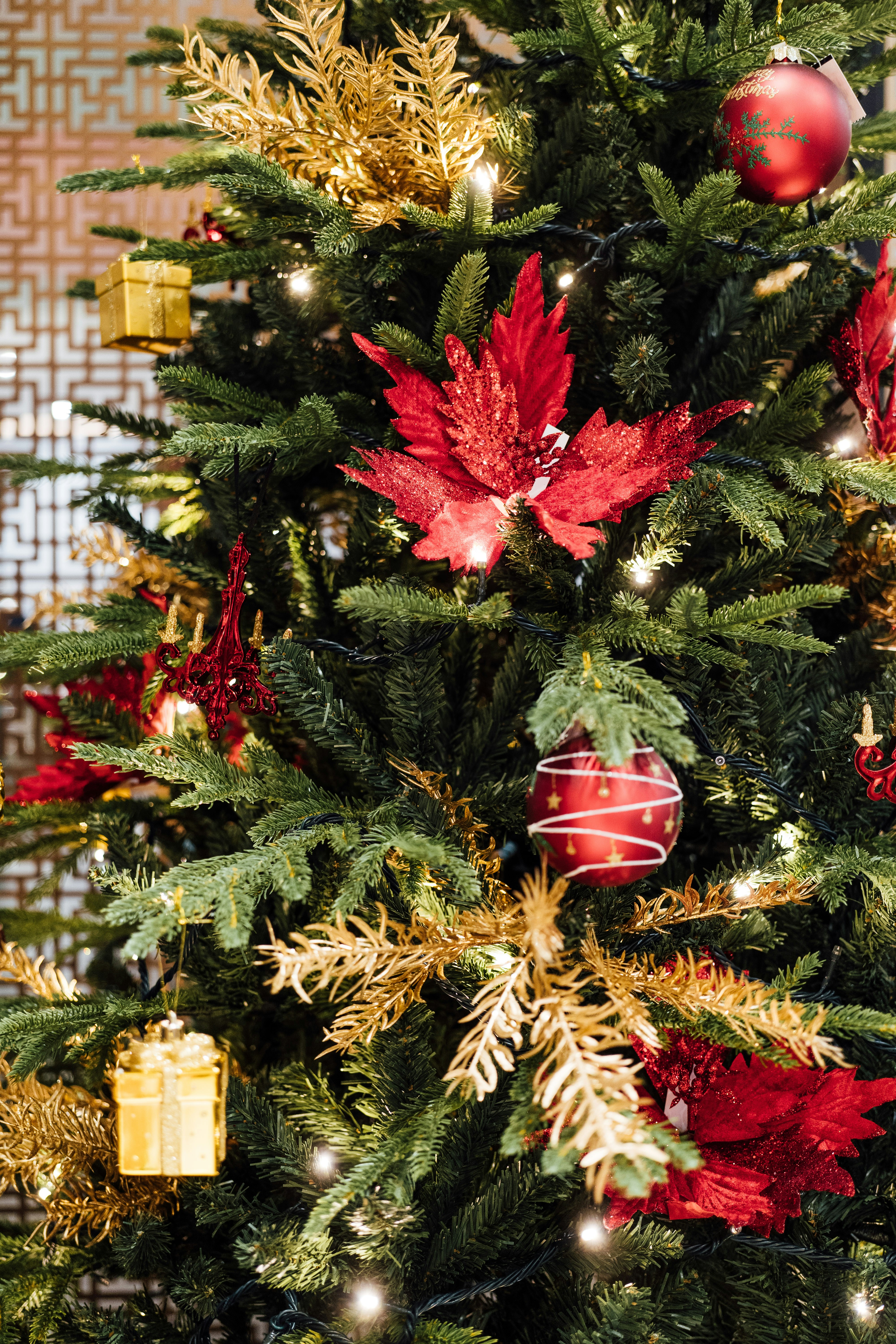 Photo by chuttersnap