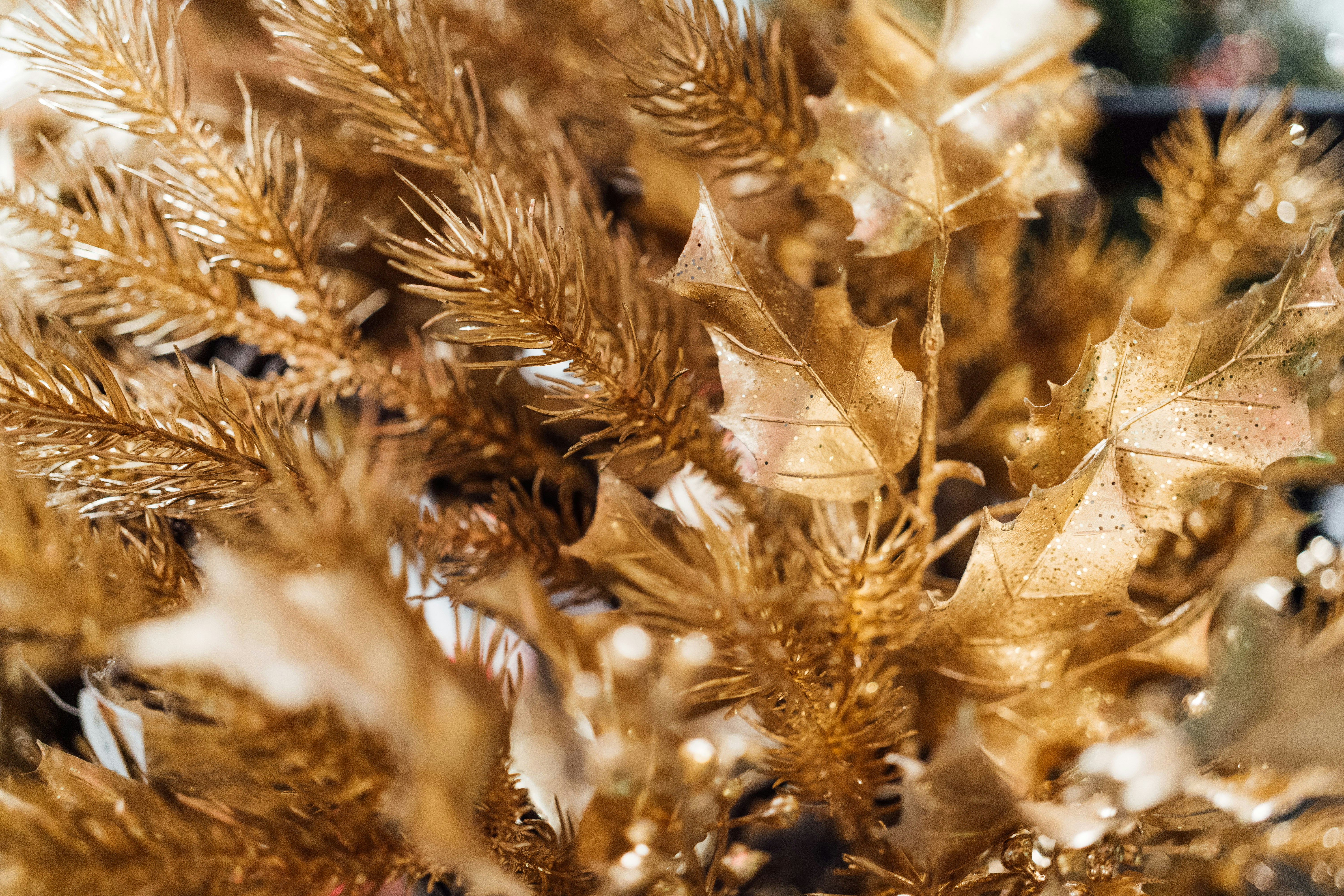 Photo by chuttersnap