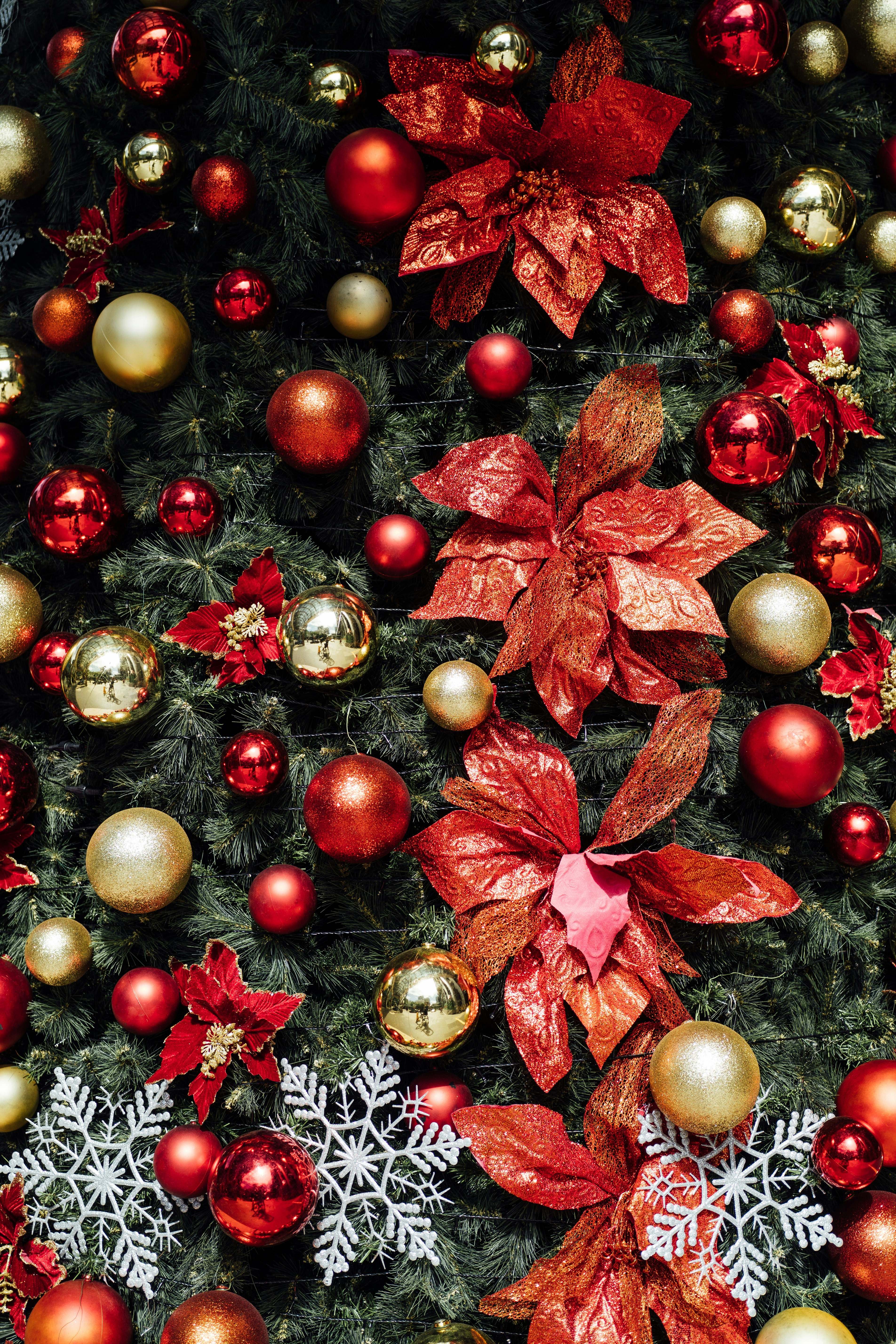 Photo by chuttersnap