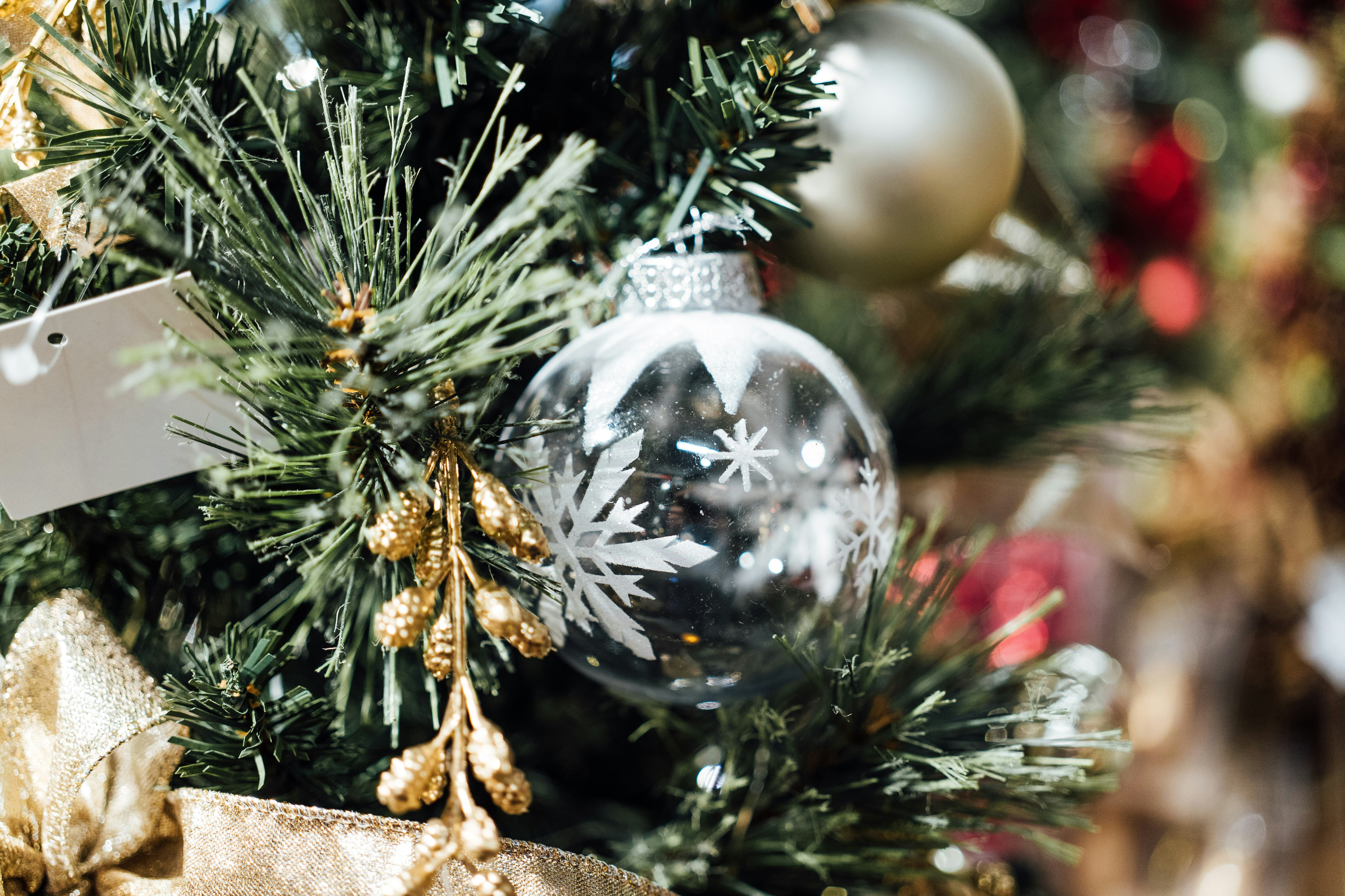 Photo by chuttersnap