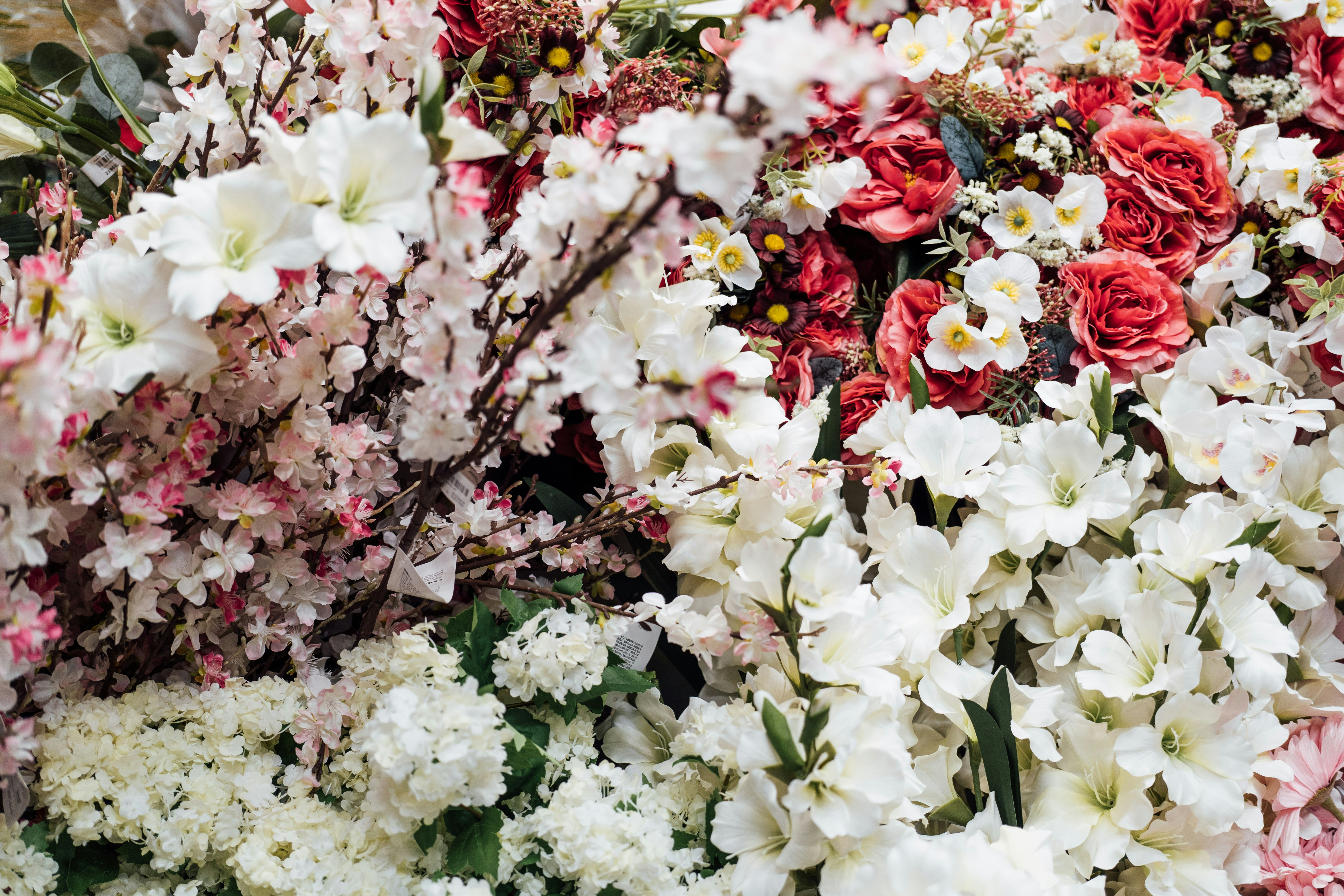 Photo by chuttersnap