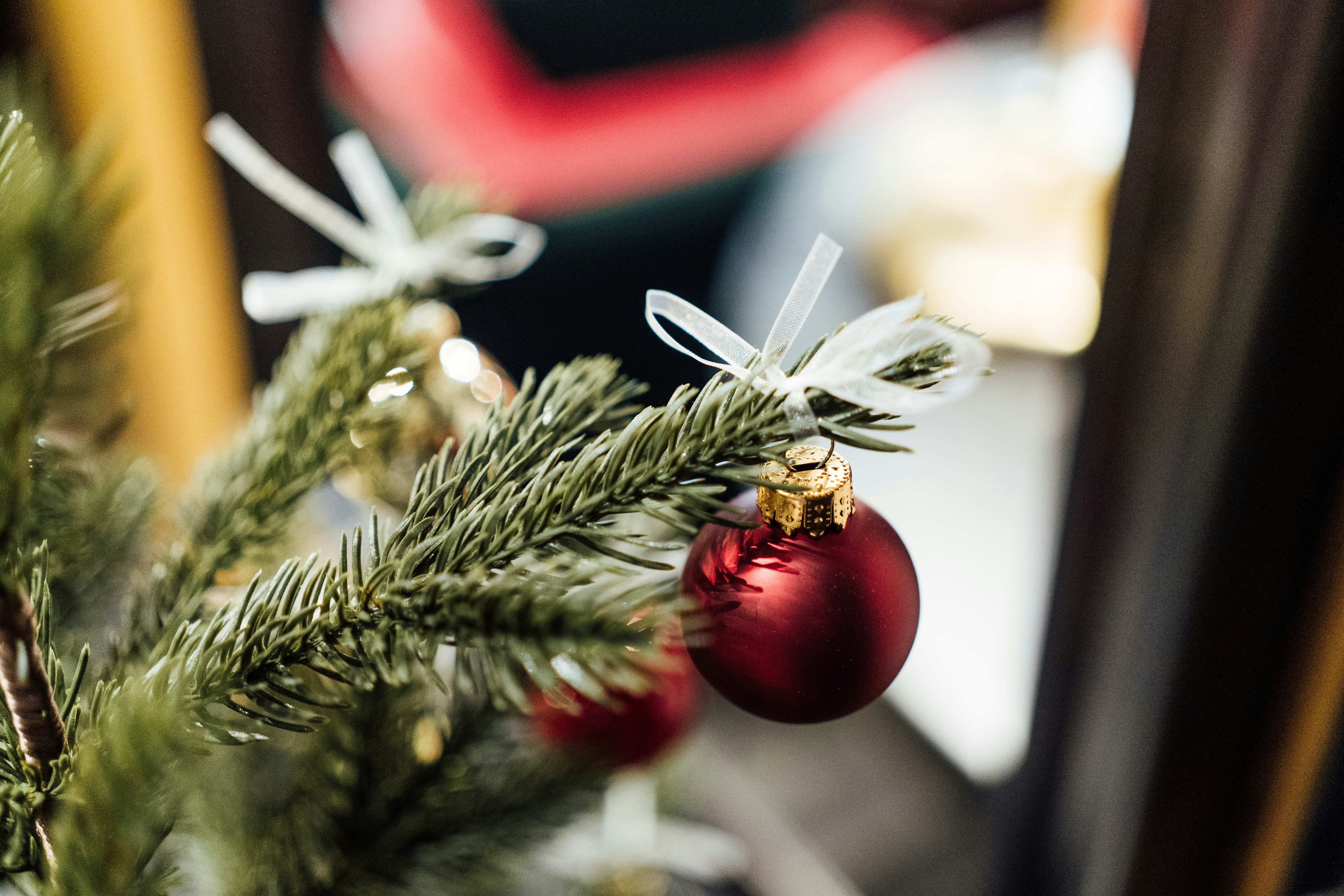 Photo by chuttersnap