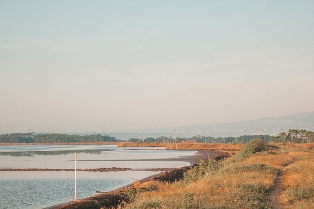 a body of water surrounded by dry grass