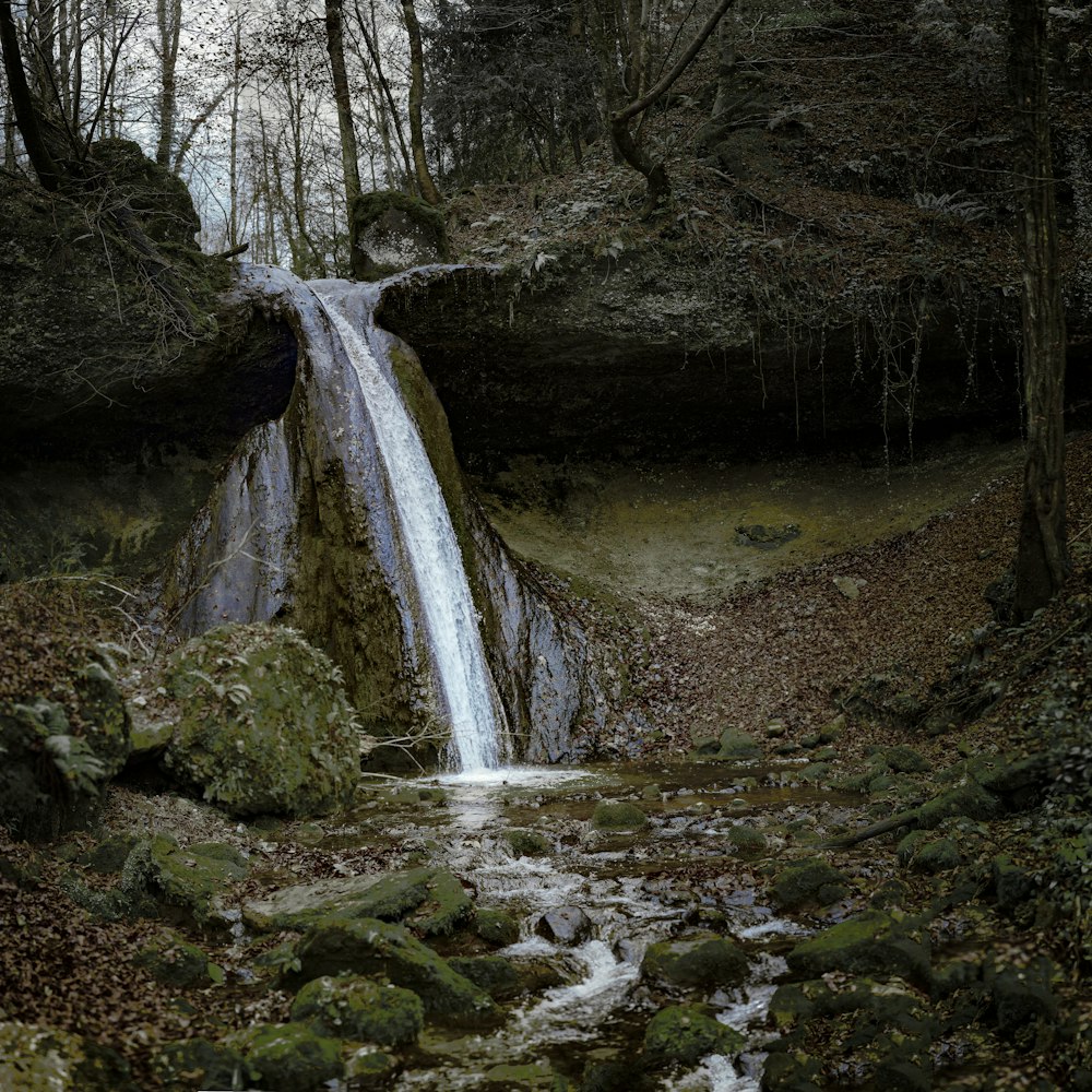 a small waterfall in the middle of a forest