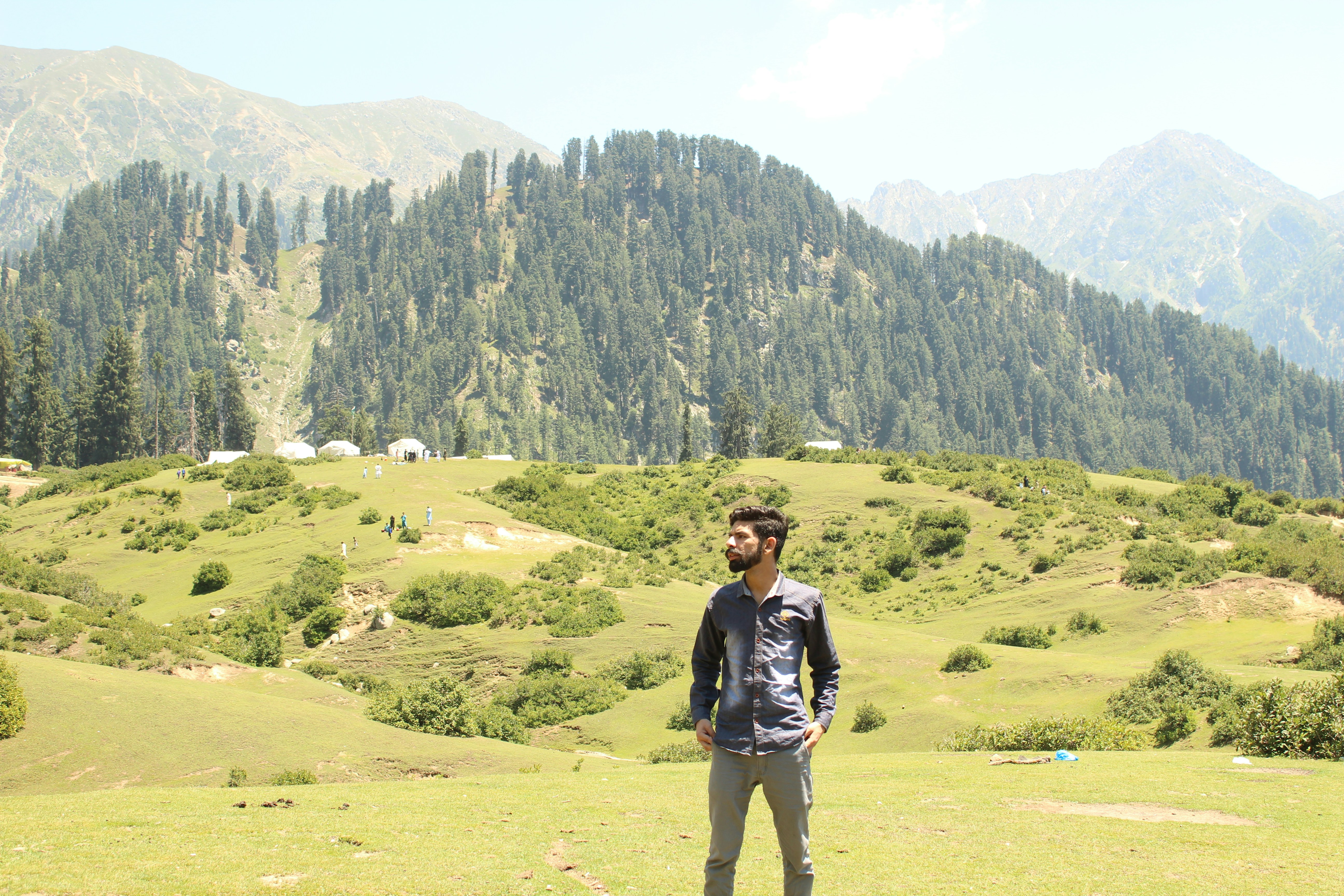 a man standing on top of a lush green hillside