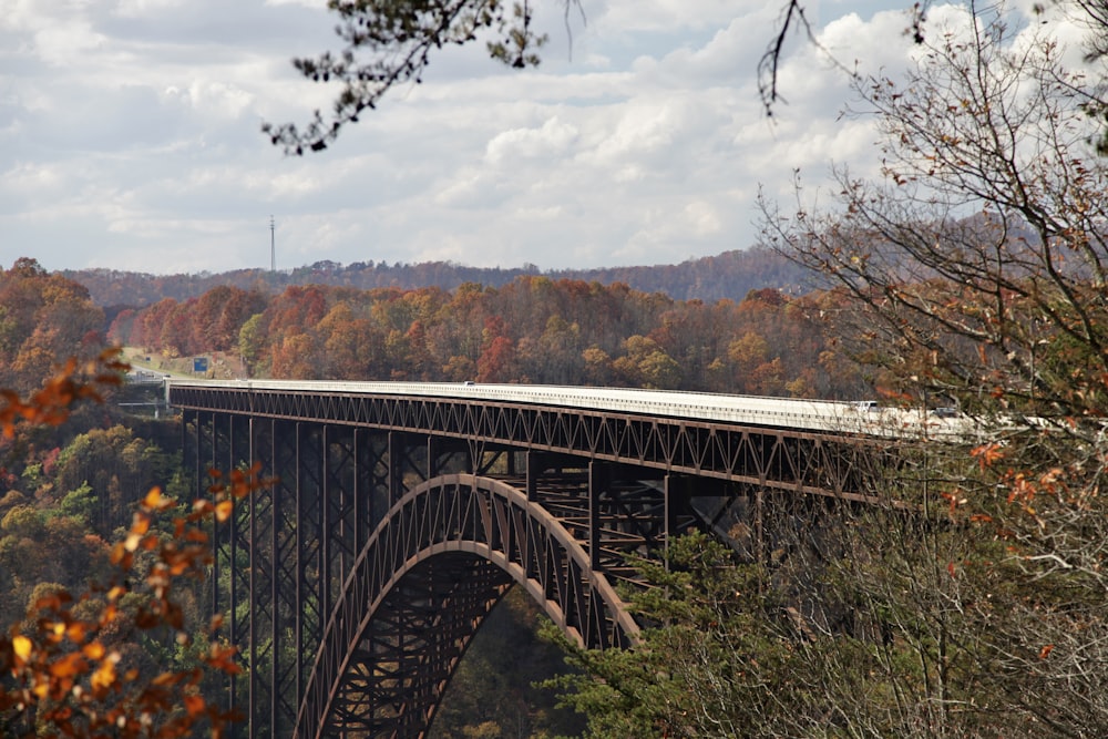 a train traveling over a bridge surrounded by trees