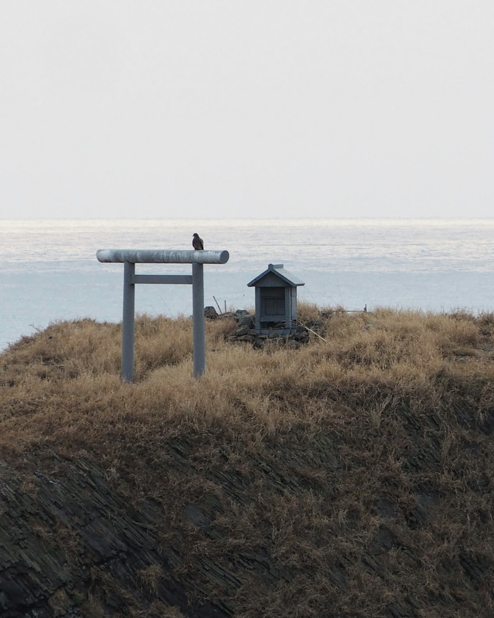 a bird is sitting on a bench on a hill
