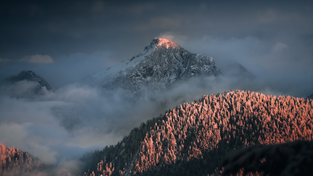 a mountain covered in clouds and trees under a cloudy sky