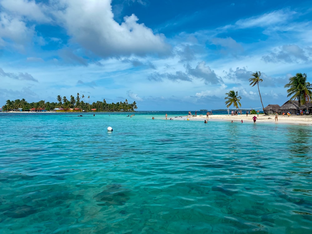 a tropical beach with palm trees and people in the water