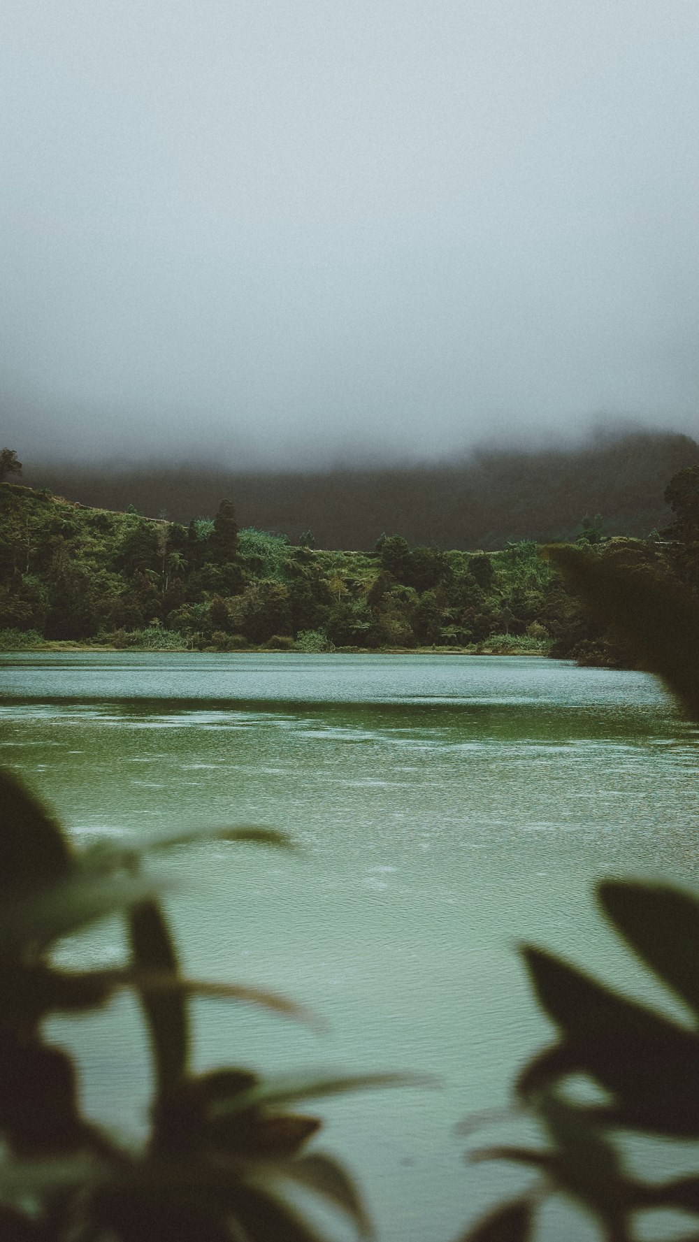 a body of water surrounded by a lush green hillside