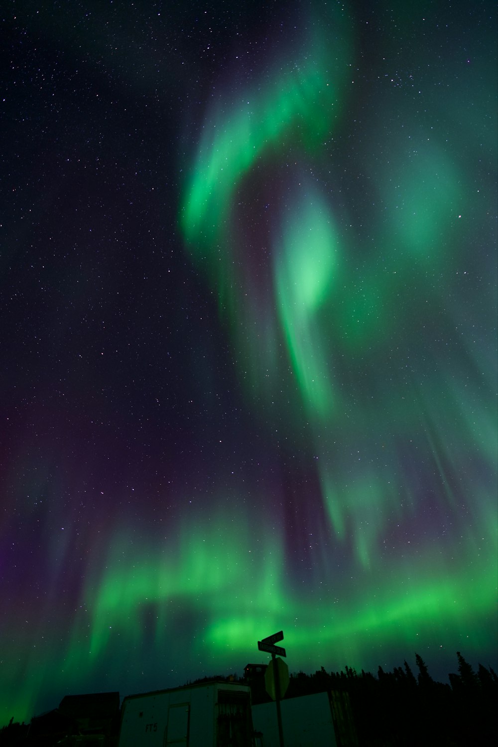 a green and purple aurora bore is in the sky