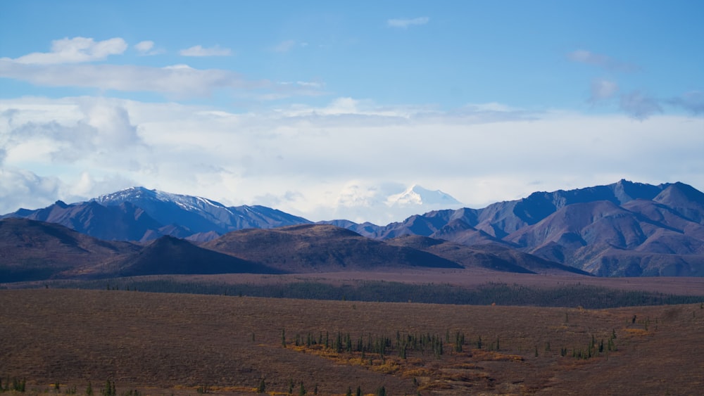 a mountain range with a few trees in the foreground