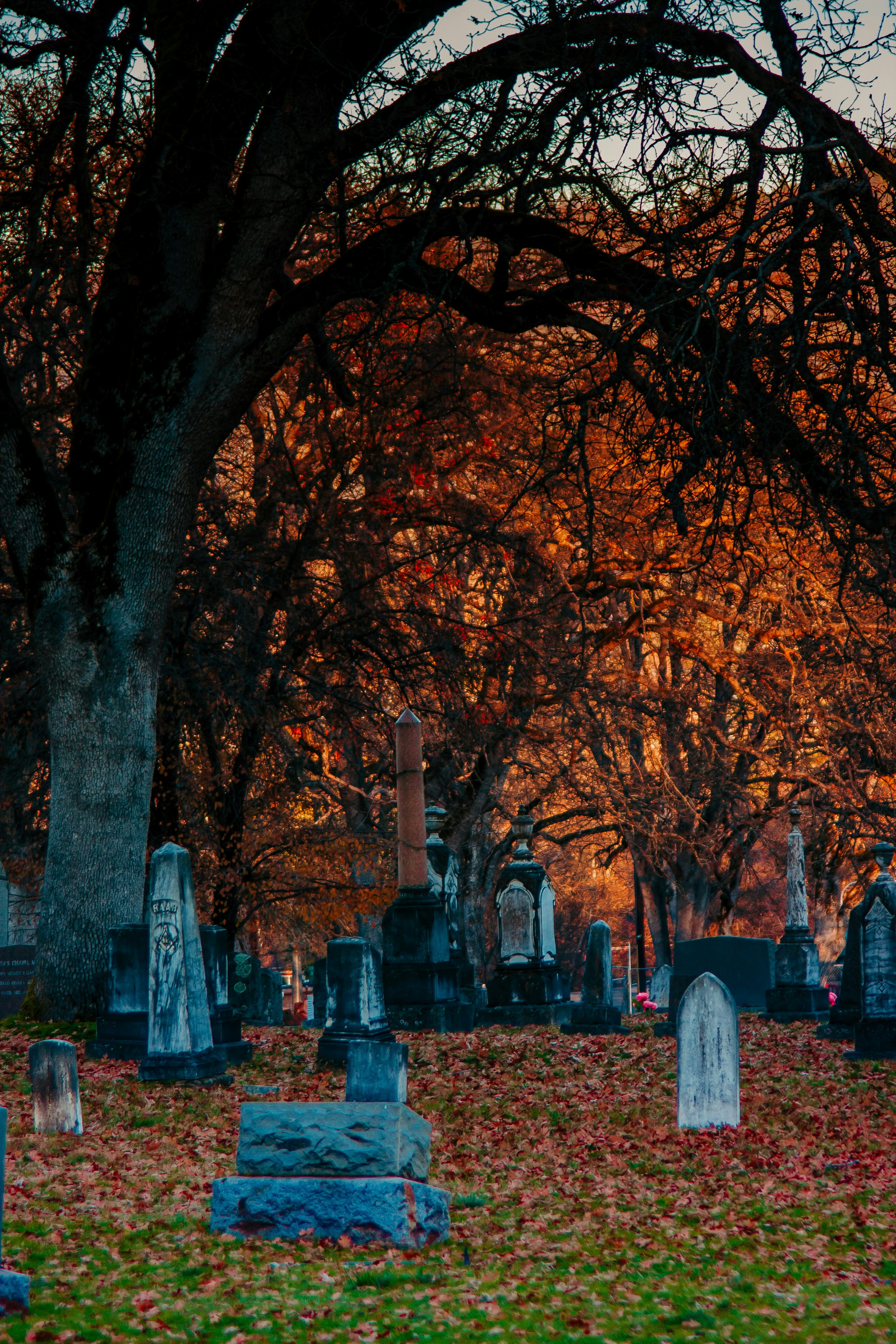 A cemetery with many headstones and trees in the background photo ...