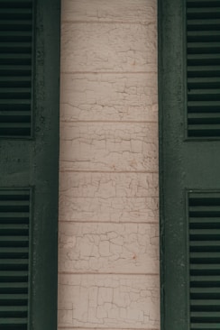 a cat sitting on a window sill in front of a brick wall