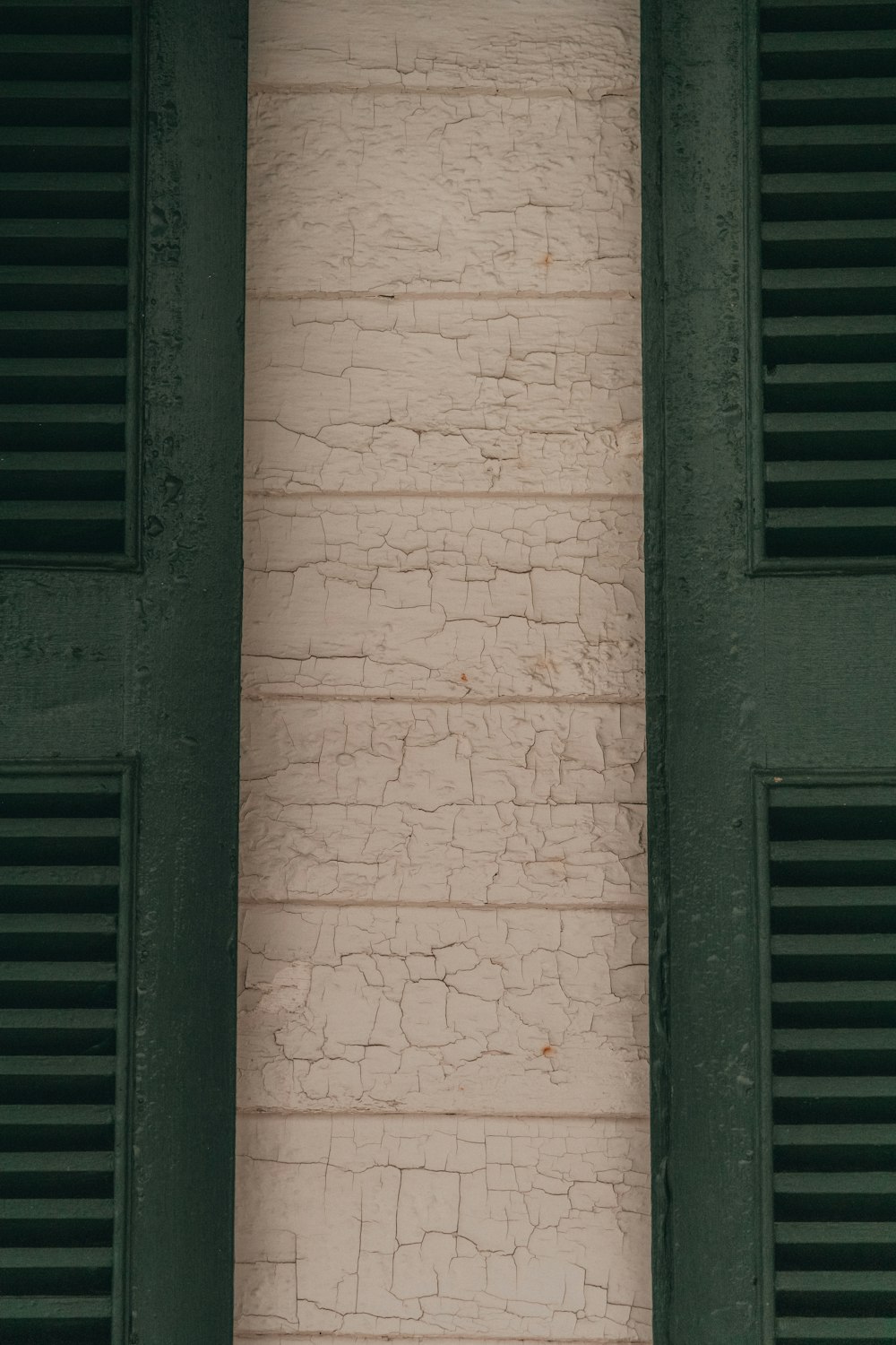 a cat sitting on a window sill in front of a brick wall