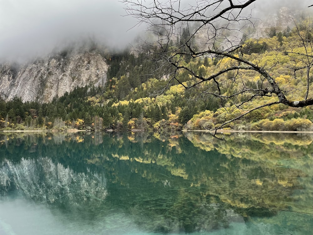 a body of water surrounded by mountains and trees