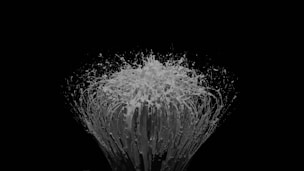 A dramatic splash of white liquid captured mid-air against a completely black background, creating a visually striking contrast. The splash forms intricate patterns and textures, resembling an explosion.