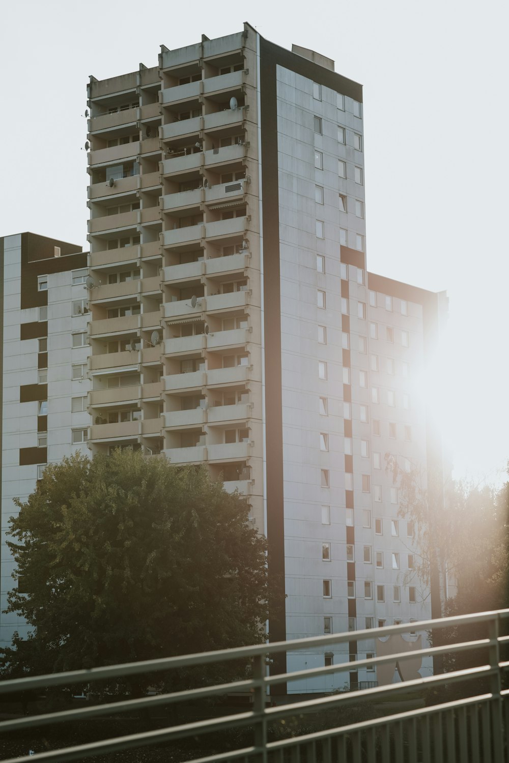 a tall white building sitting next to a forest