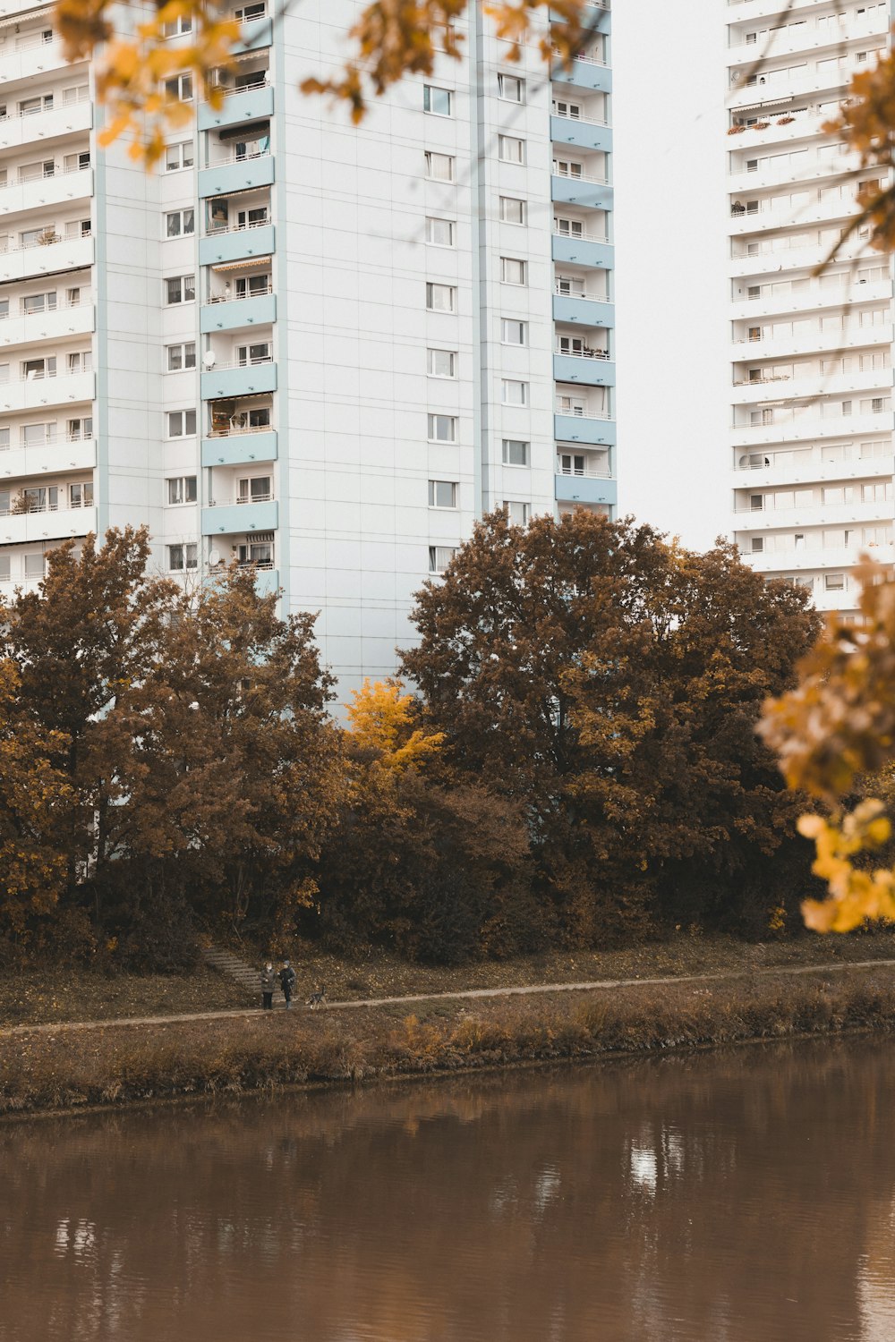 a couple of people sitting on a bench near a body of water