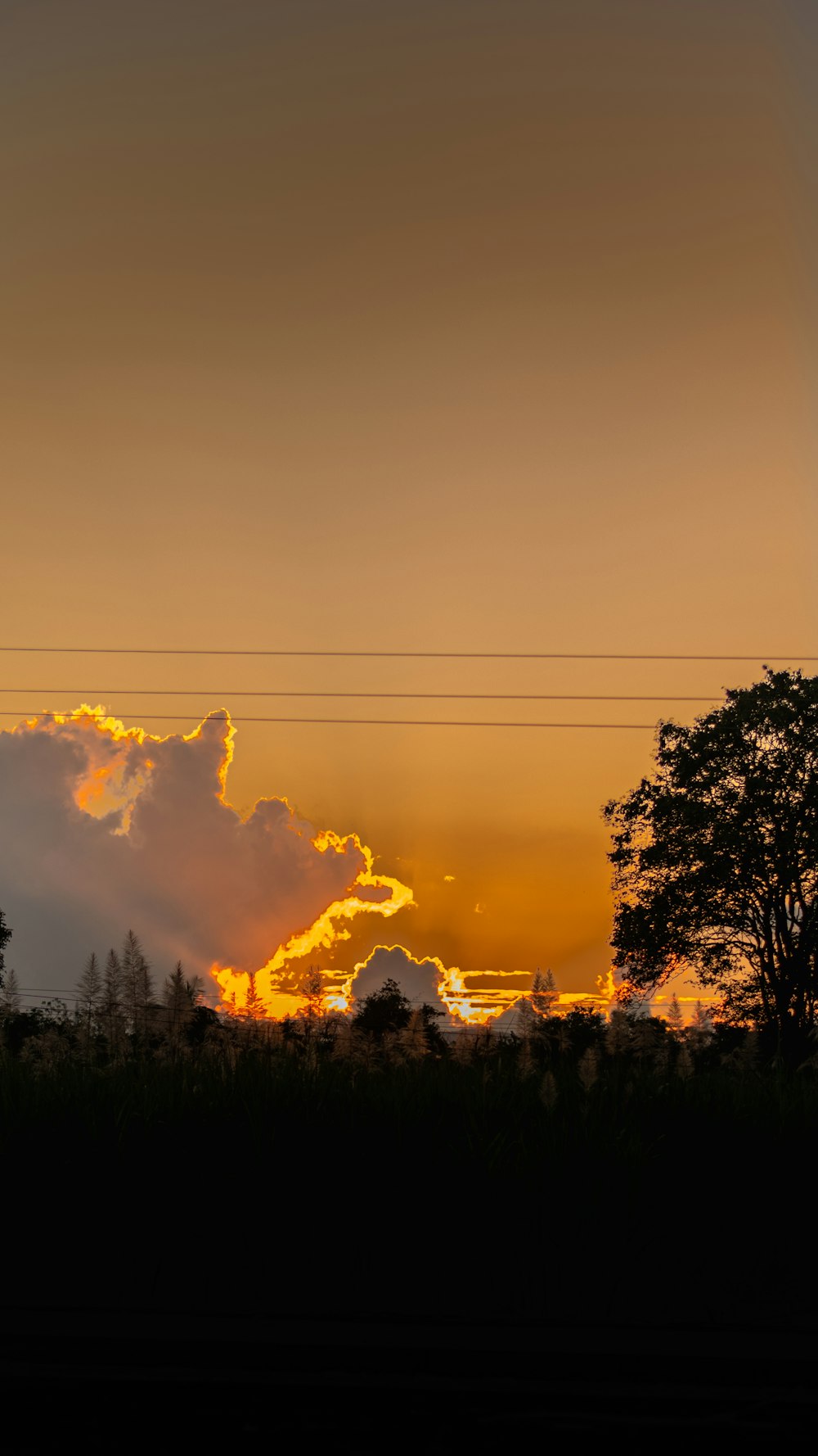 the sun is setting over a field with trees