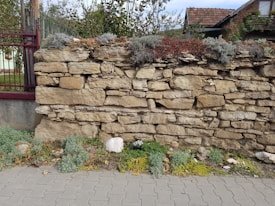 A rustic stone wall made of unevenly stacked stones with tufts of various plants growing in front and on top of it. The wall runs parallel to a paved pathway and is bordered by a metal gate on one side. Behind the wall, there are trees and a glimpse of a red-roofed house.