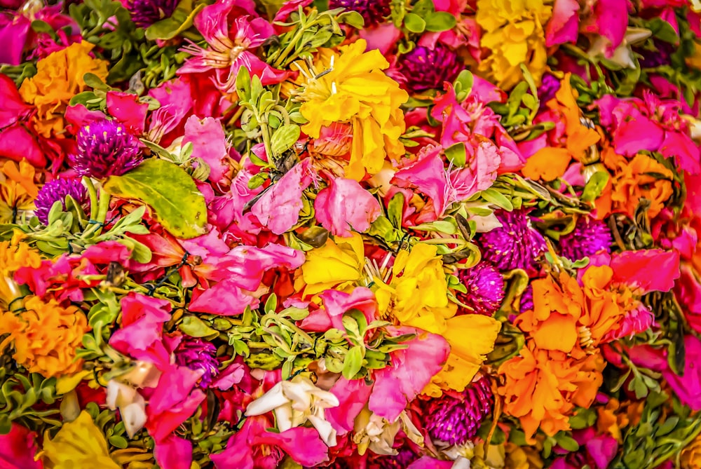 a bunch of flowers that are laying on the ground