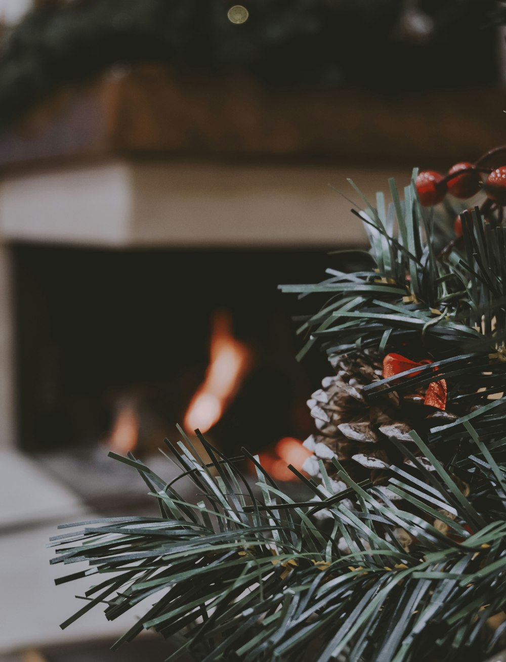 a close up of a pine cone with a fire in the background