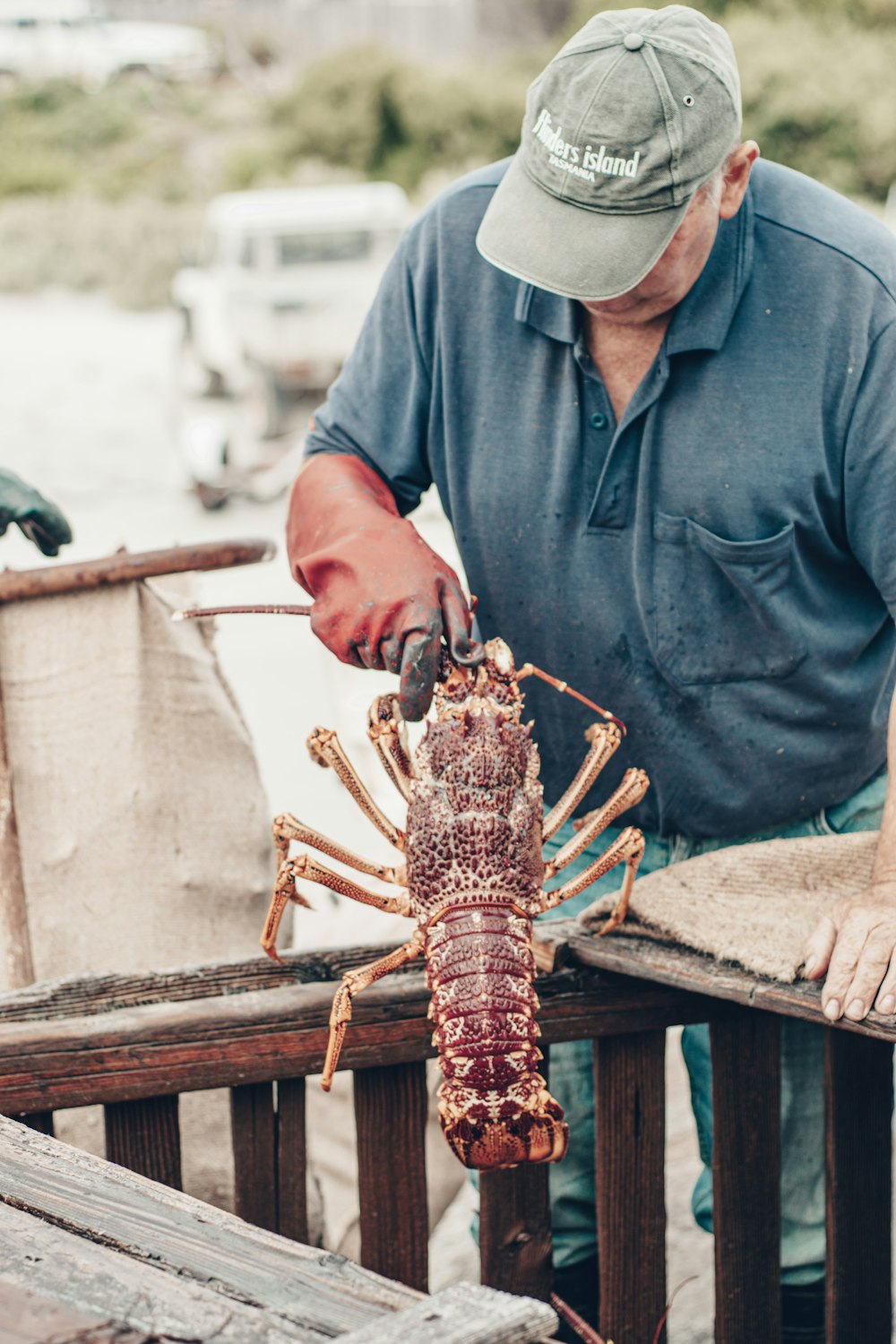a man holding a large lobster on top of a wooden table