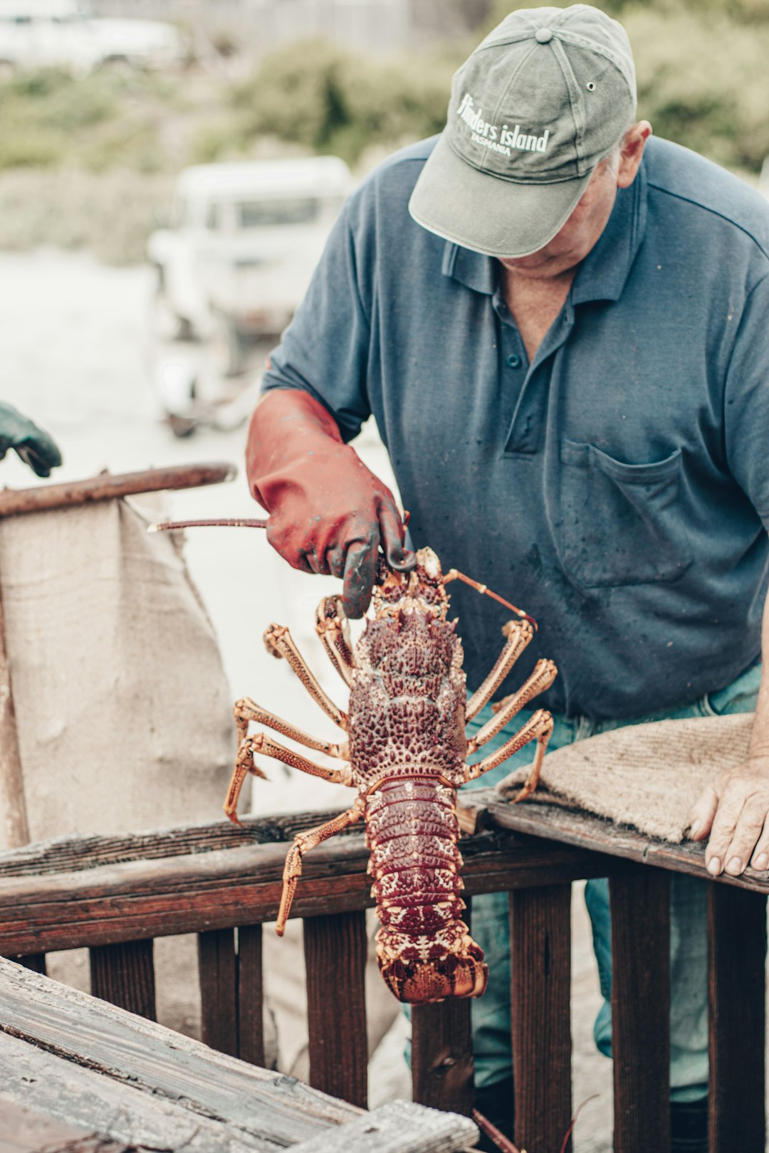 a man holding a large lobster on top of a wooden table