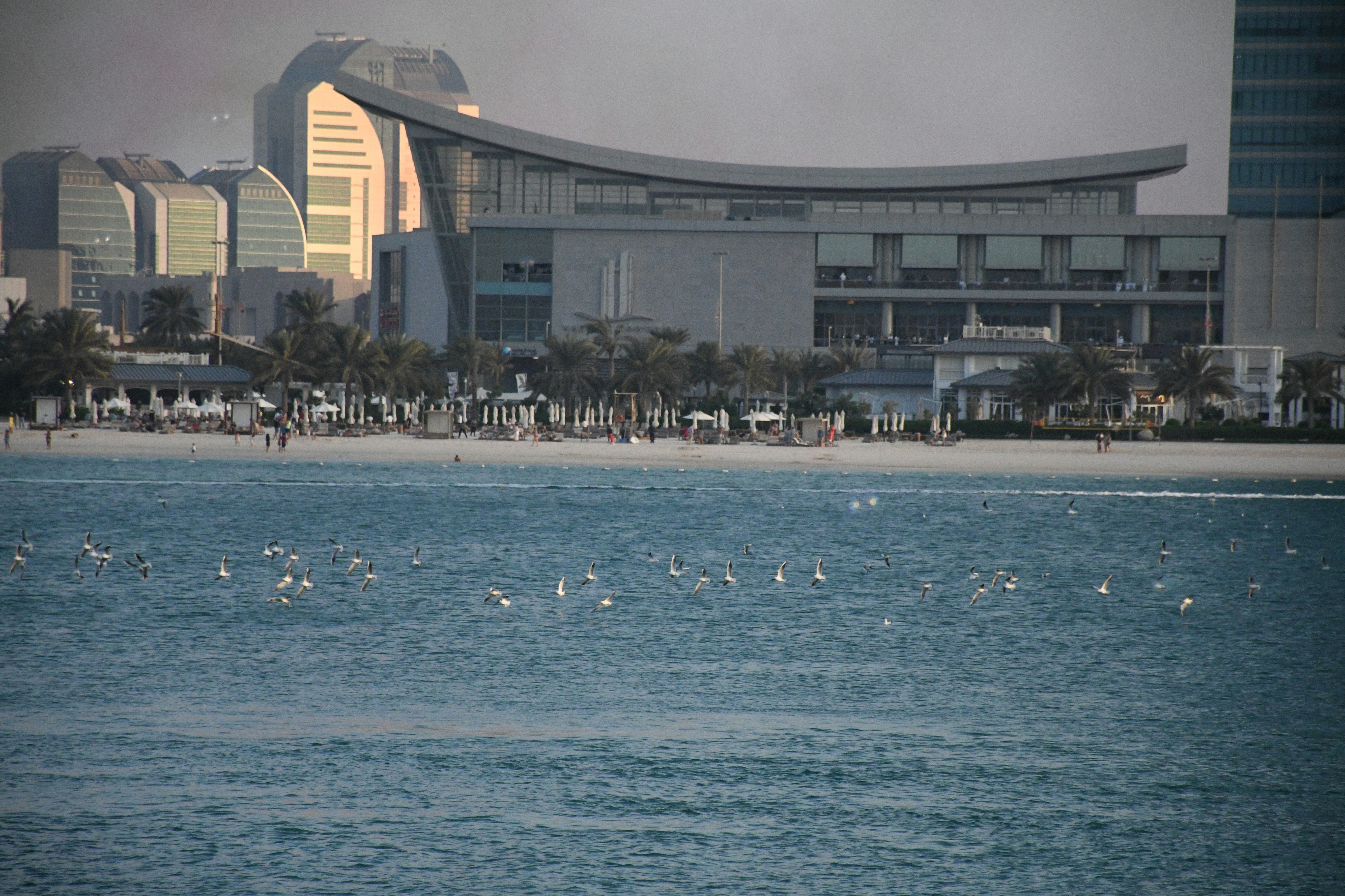 W Hotel Abu Dhabi