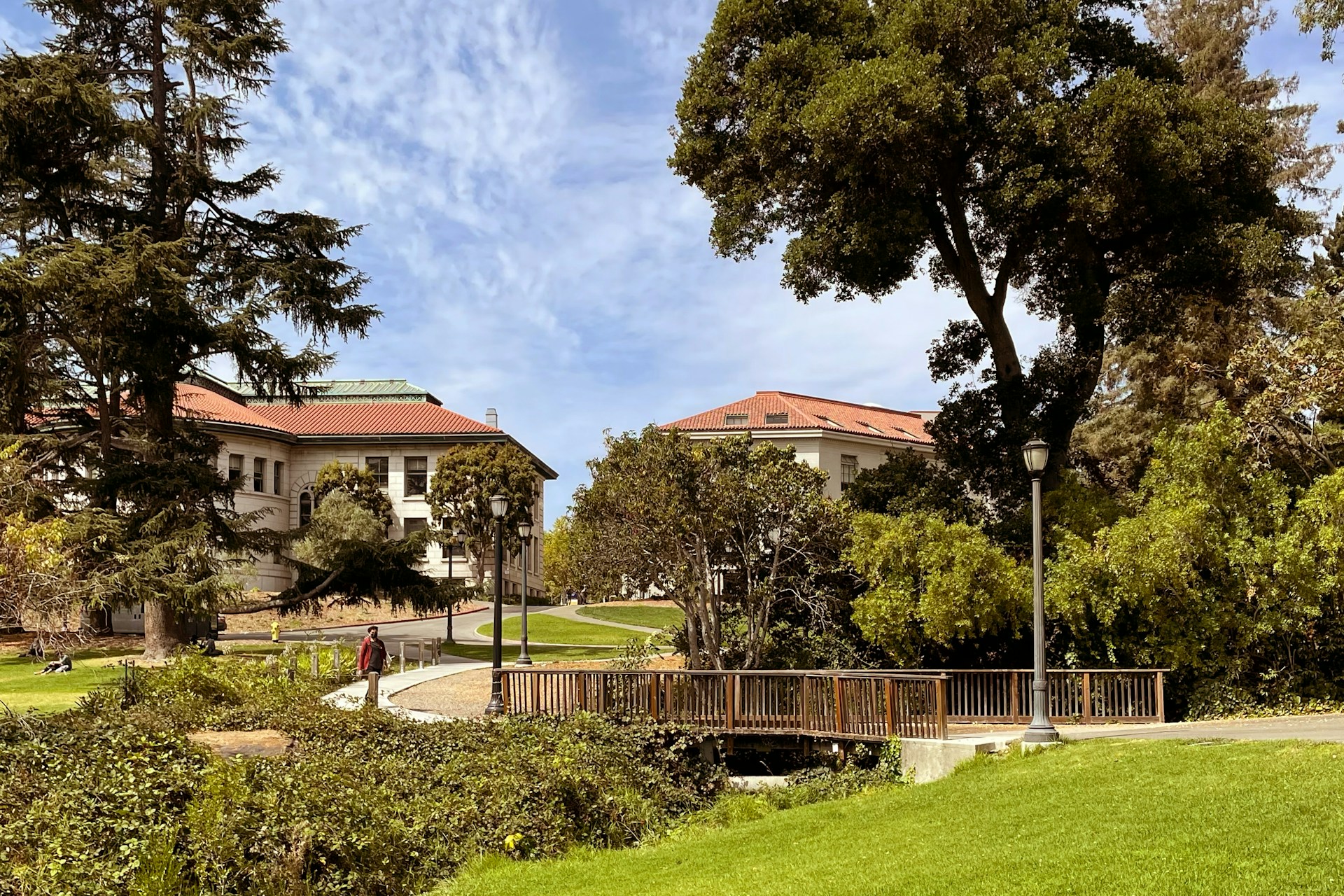 woman wearing yellow long-sleeved dress under white clouds and blue sky during daytime