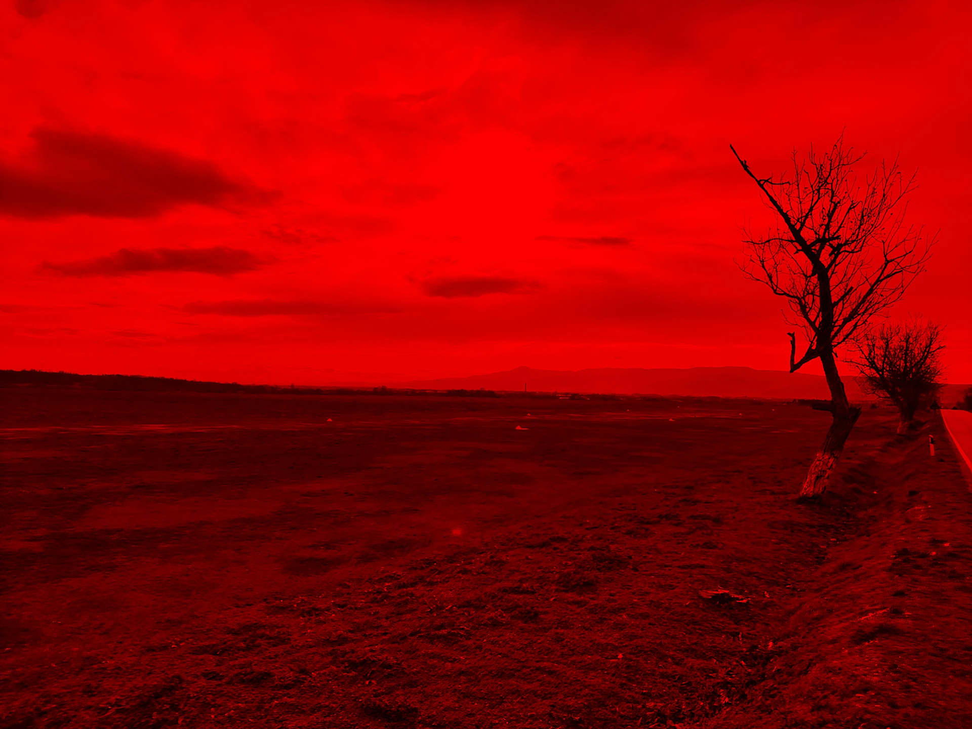 a red sky with a lone tree in the foreground