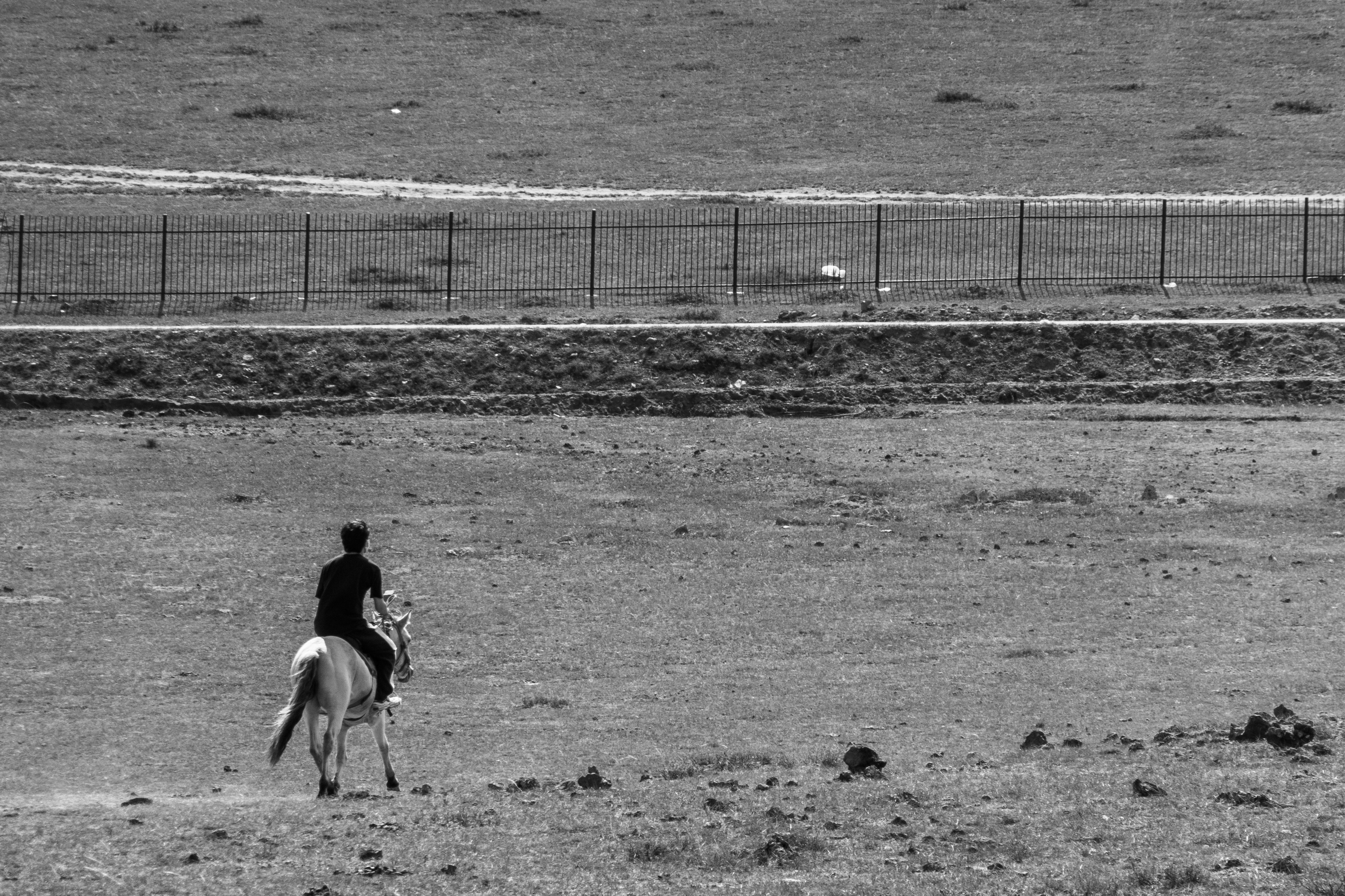 Photo by offline1993