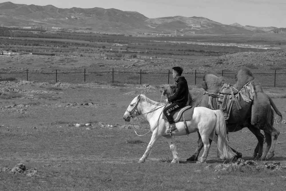 a man riding on the back of a white horse