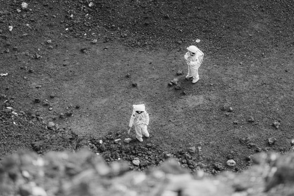 a couple of cats standing on top of a dirt field