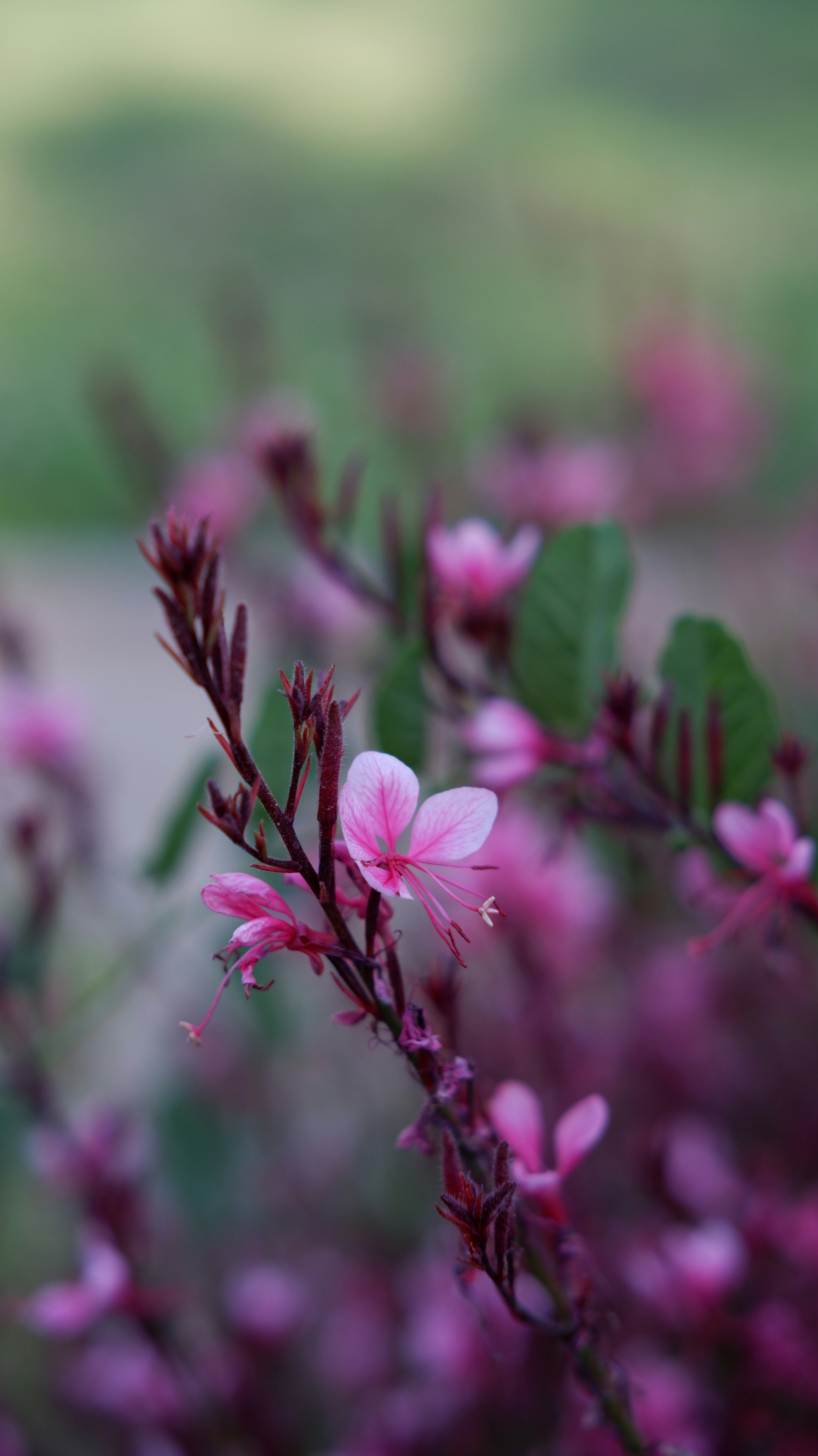 Photo by mary_borysova