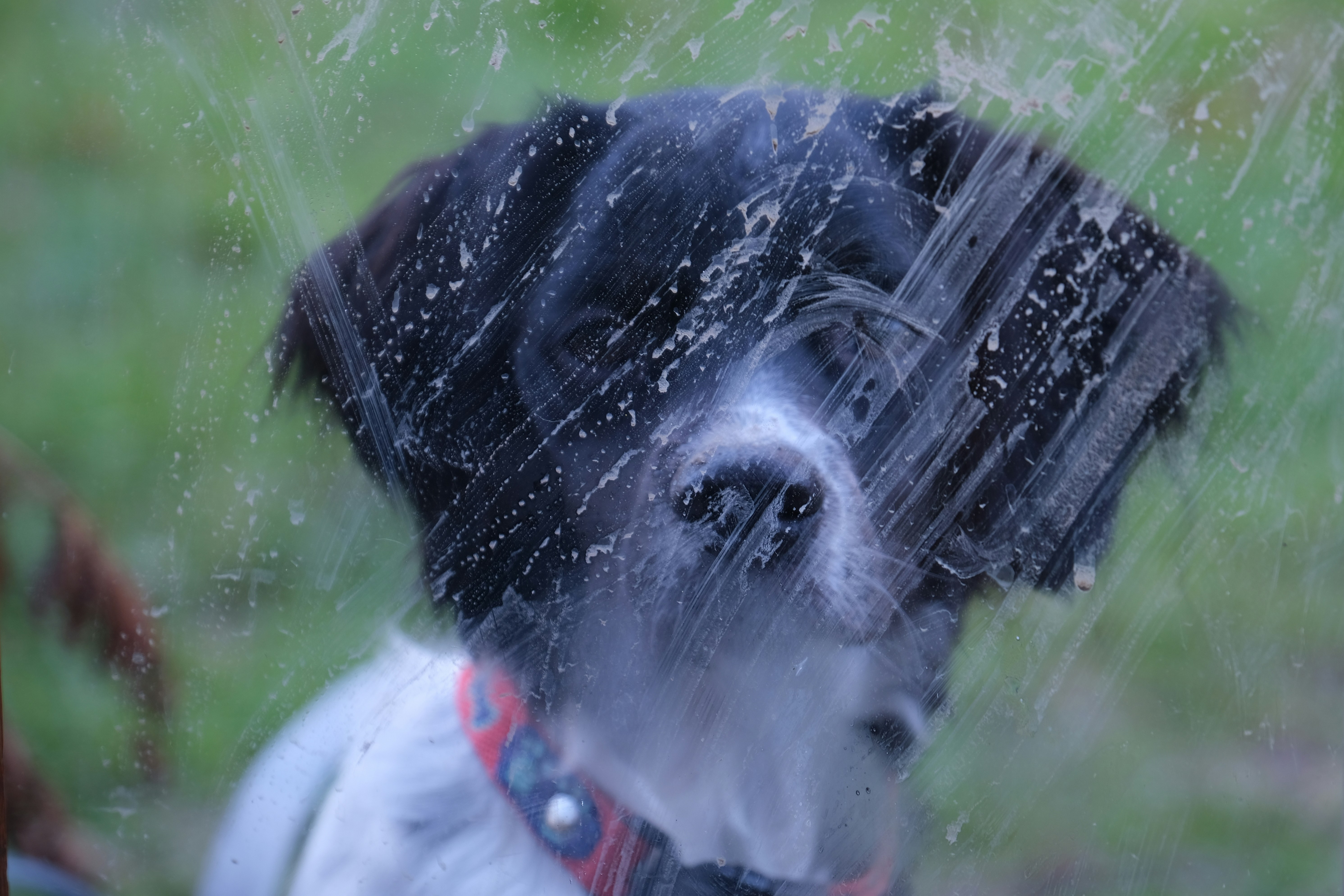 Clean Australia Service