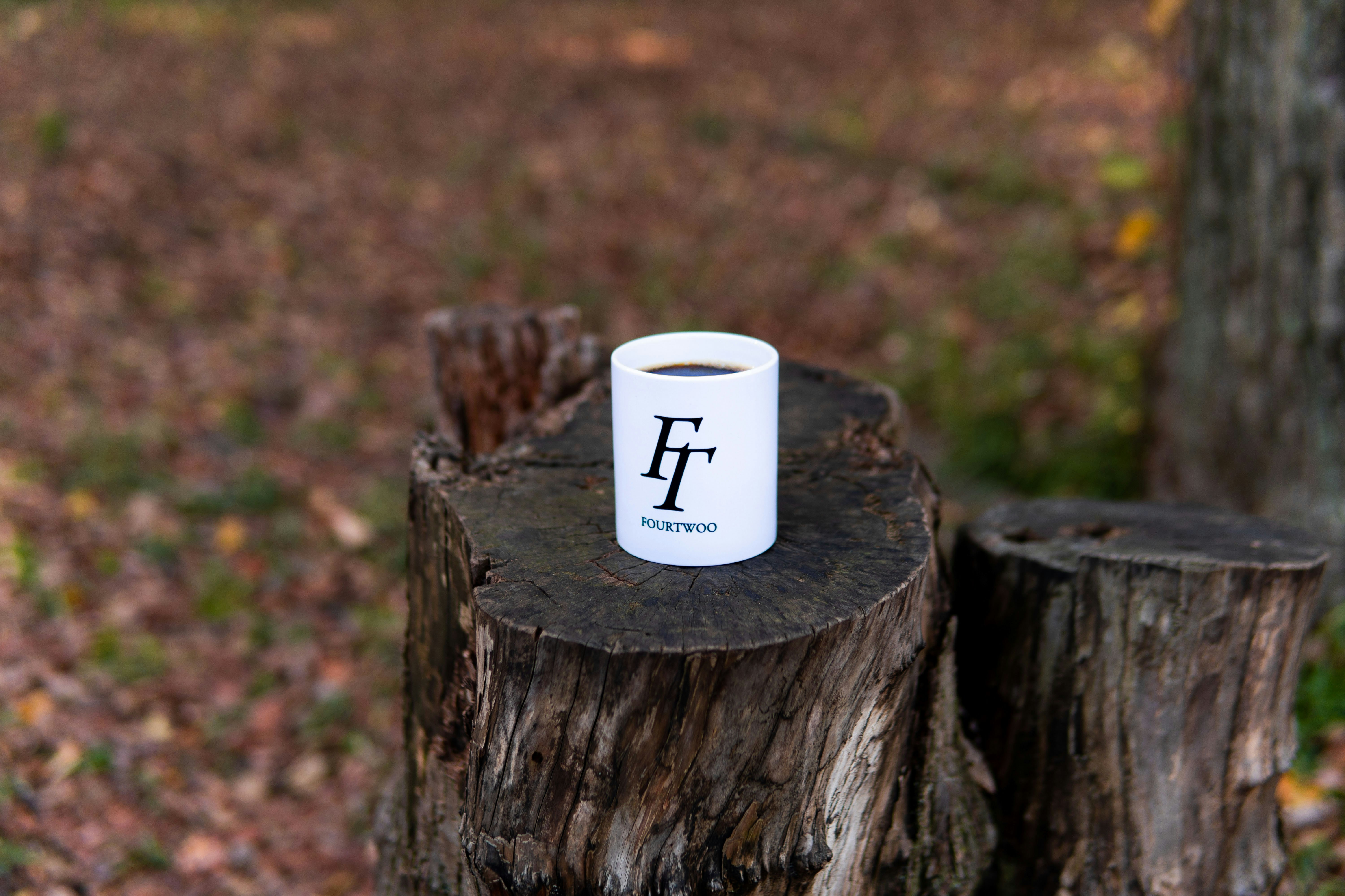 forest campsite morning, wallpaper, Organized Campsite: Essential Morning Habits 4