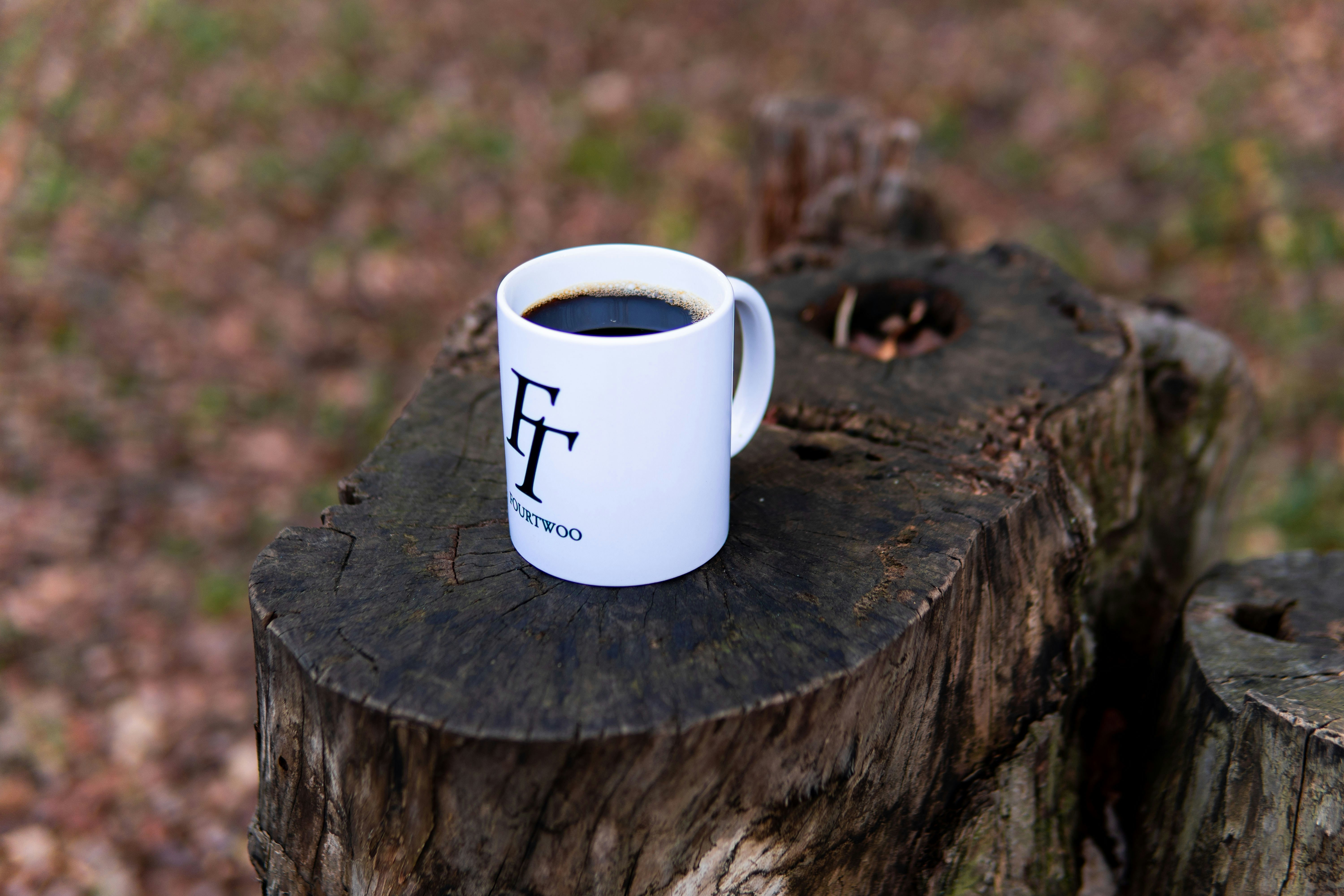 forest campsite morning, wallpaper, Organized Campsite: Essential Morning Habits 6