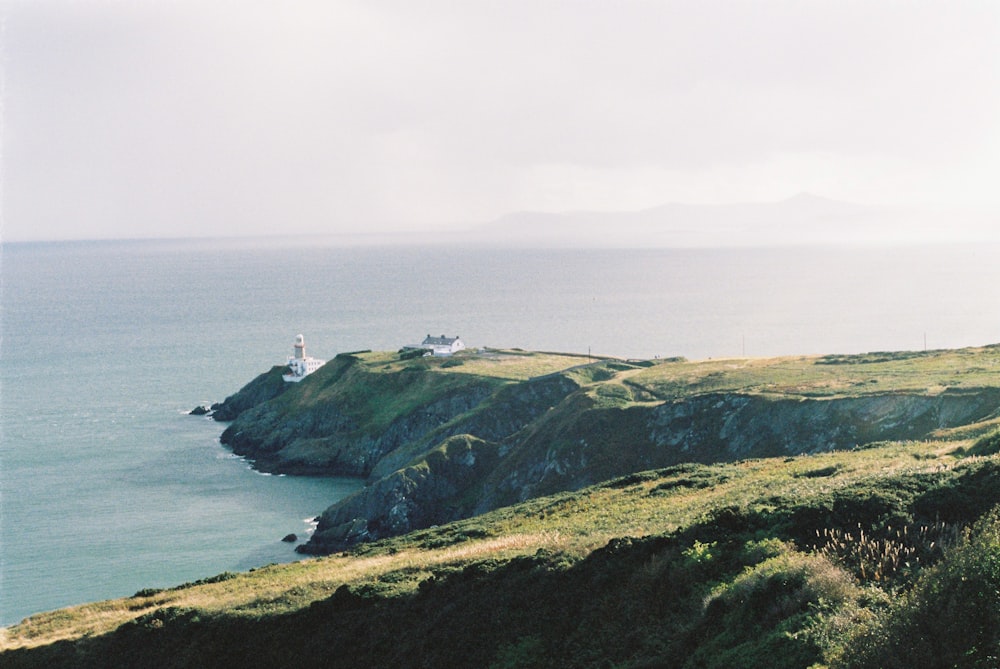 a couple of sheep standing on top of a lush green hillside