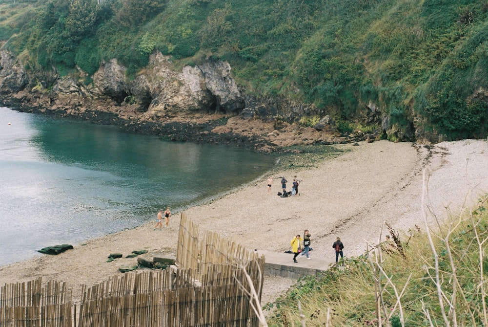 a group of people walking on a beach next to a body of water