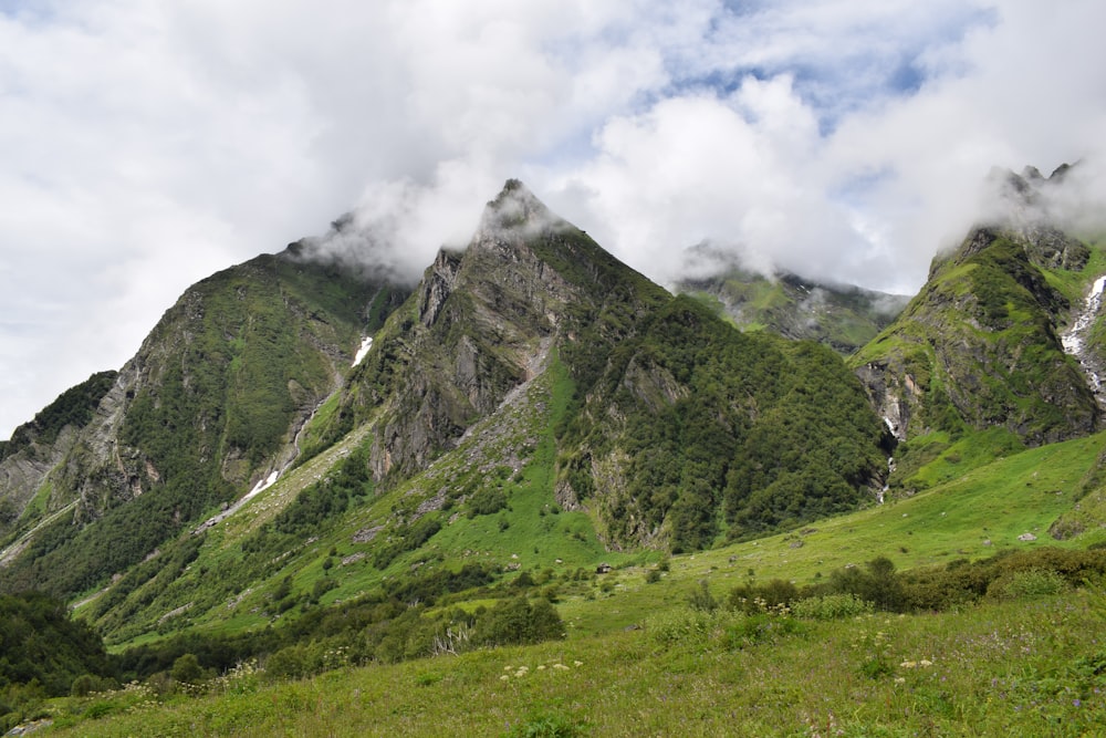 a grassy field with a mountain in the background