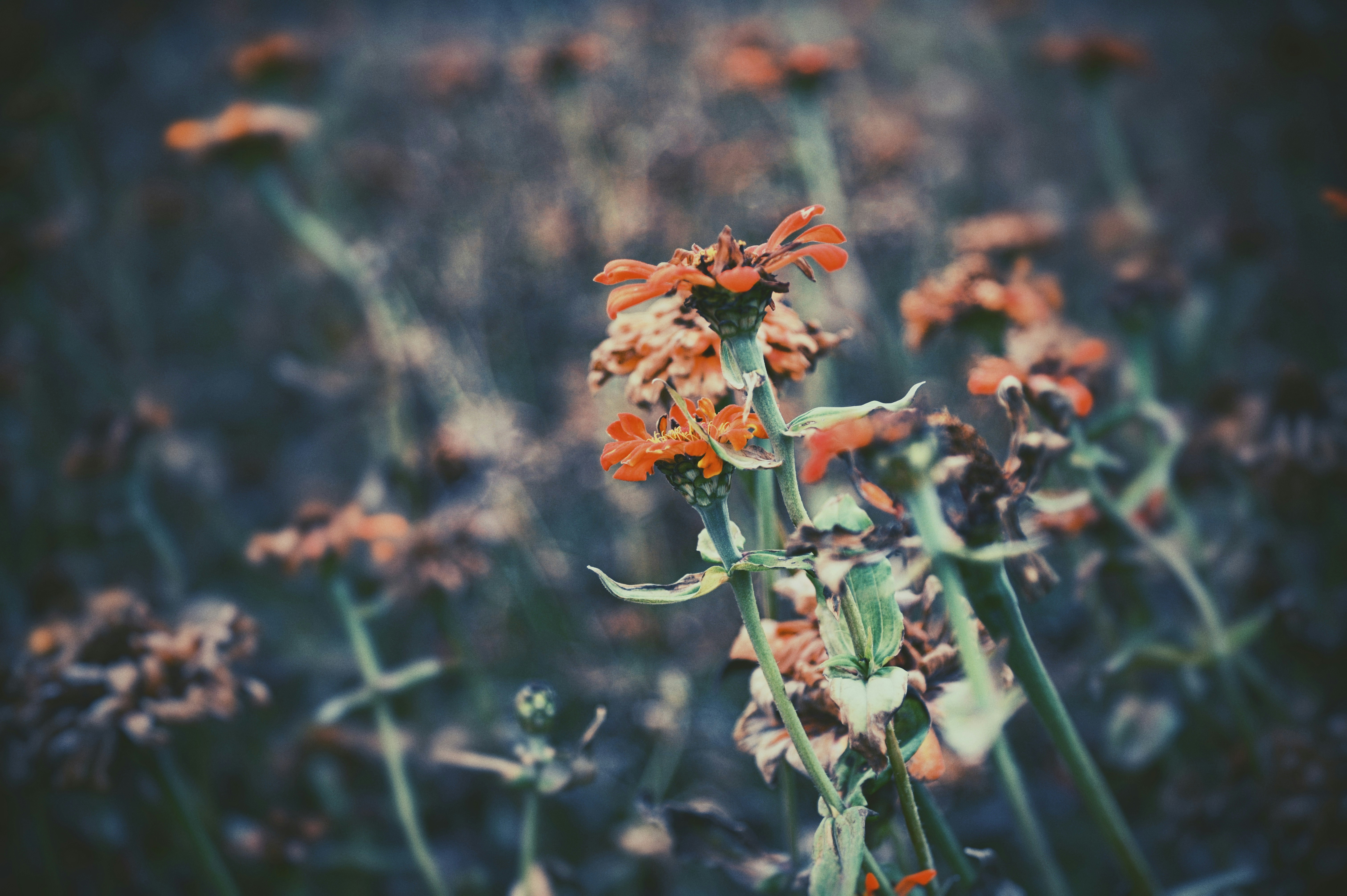 Photo by 2nd_cosmic_velocity