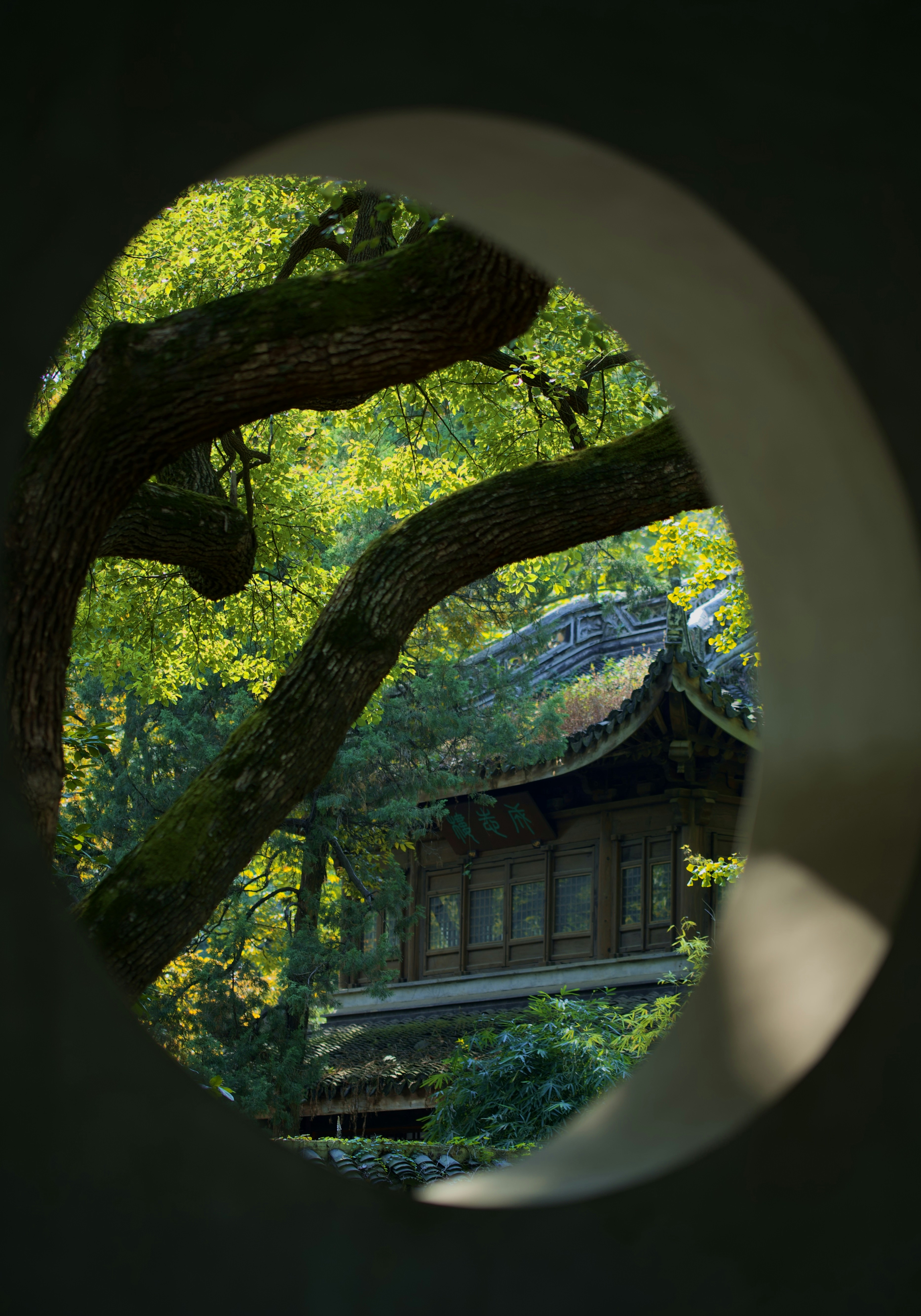 Photo by 2nd_cosmic_velocity