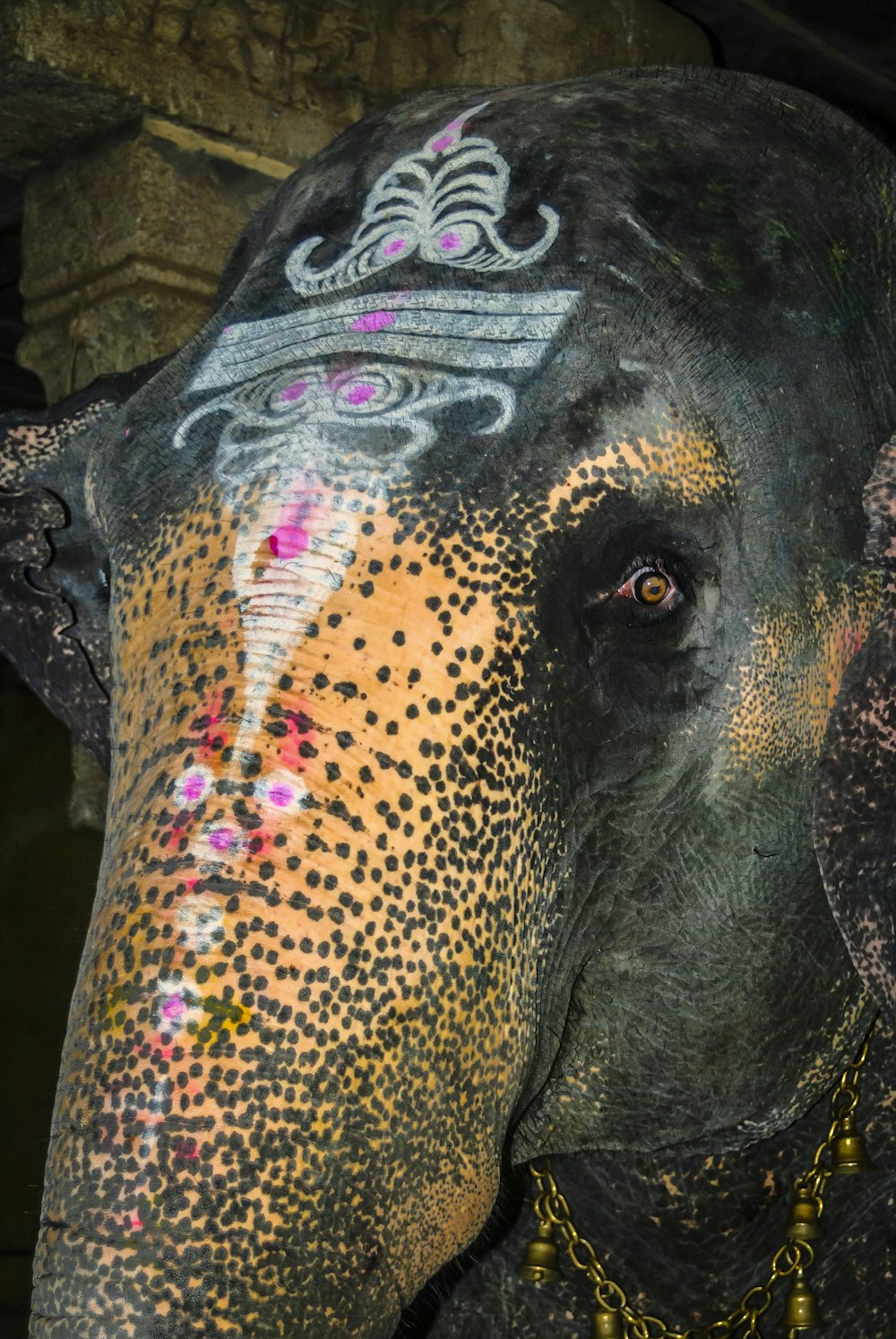 a close up of an elephant wearing a necklace