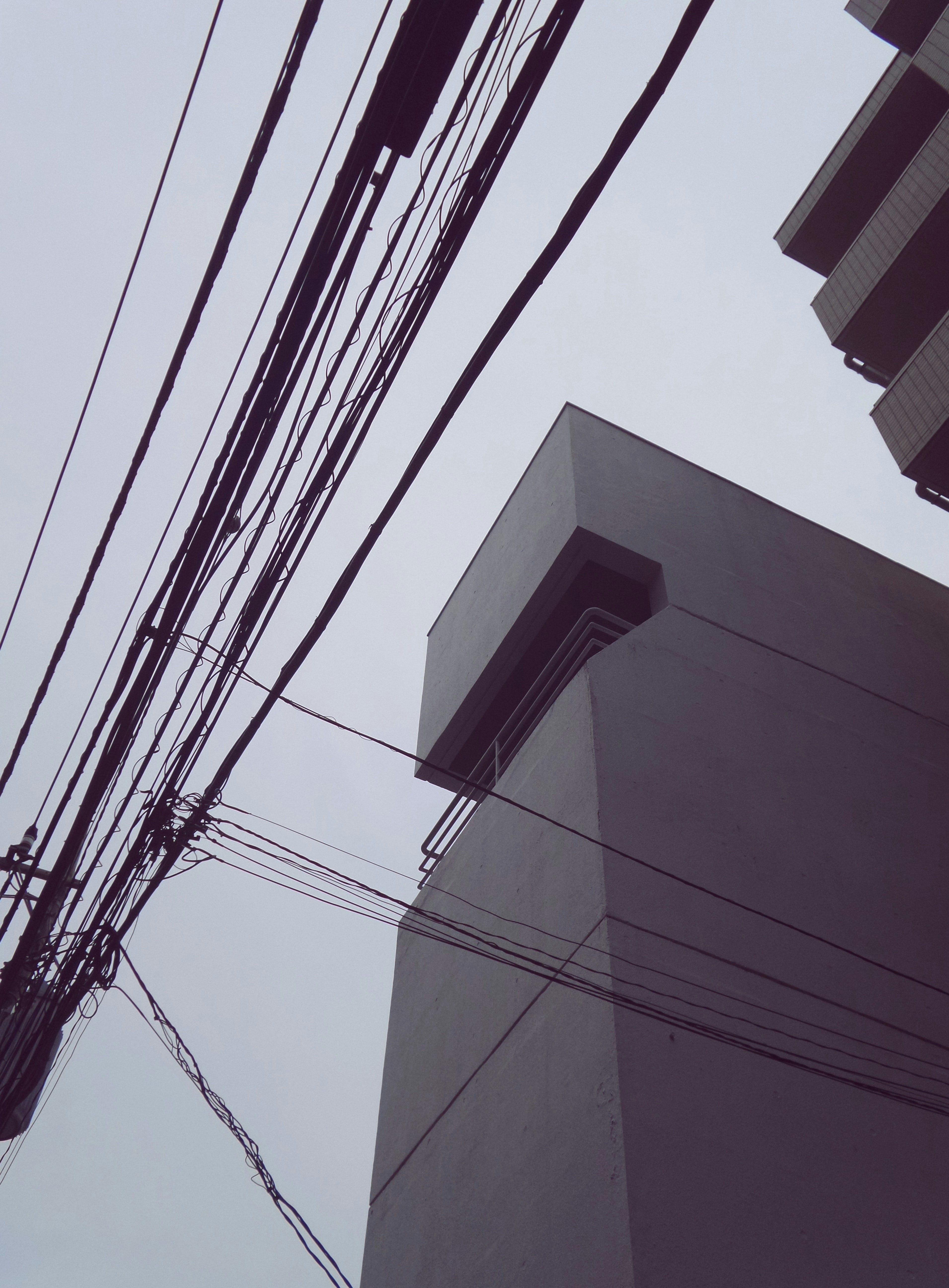 Photo by possessedphotography