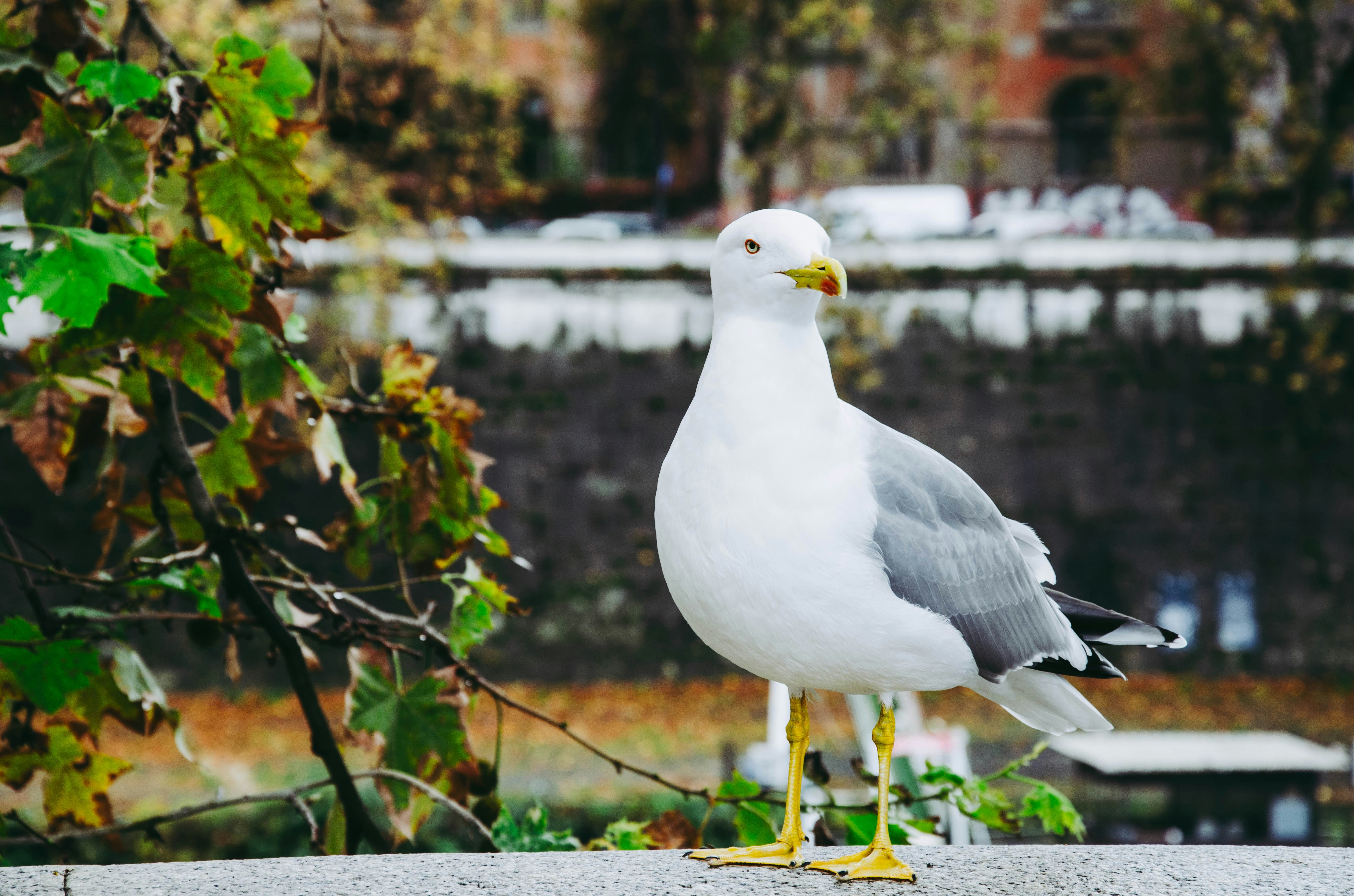 Photo by nika_benedictova